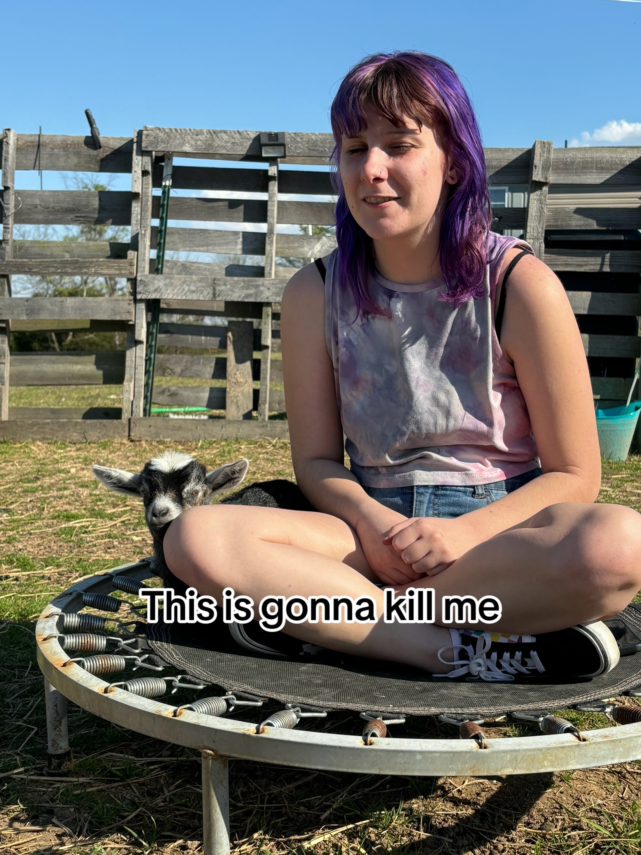 @☮️🦋🦋☮️