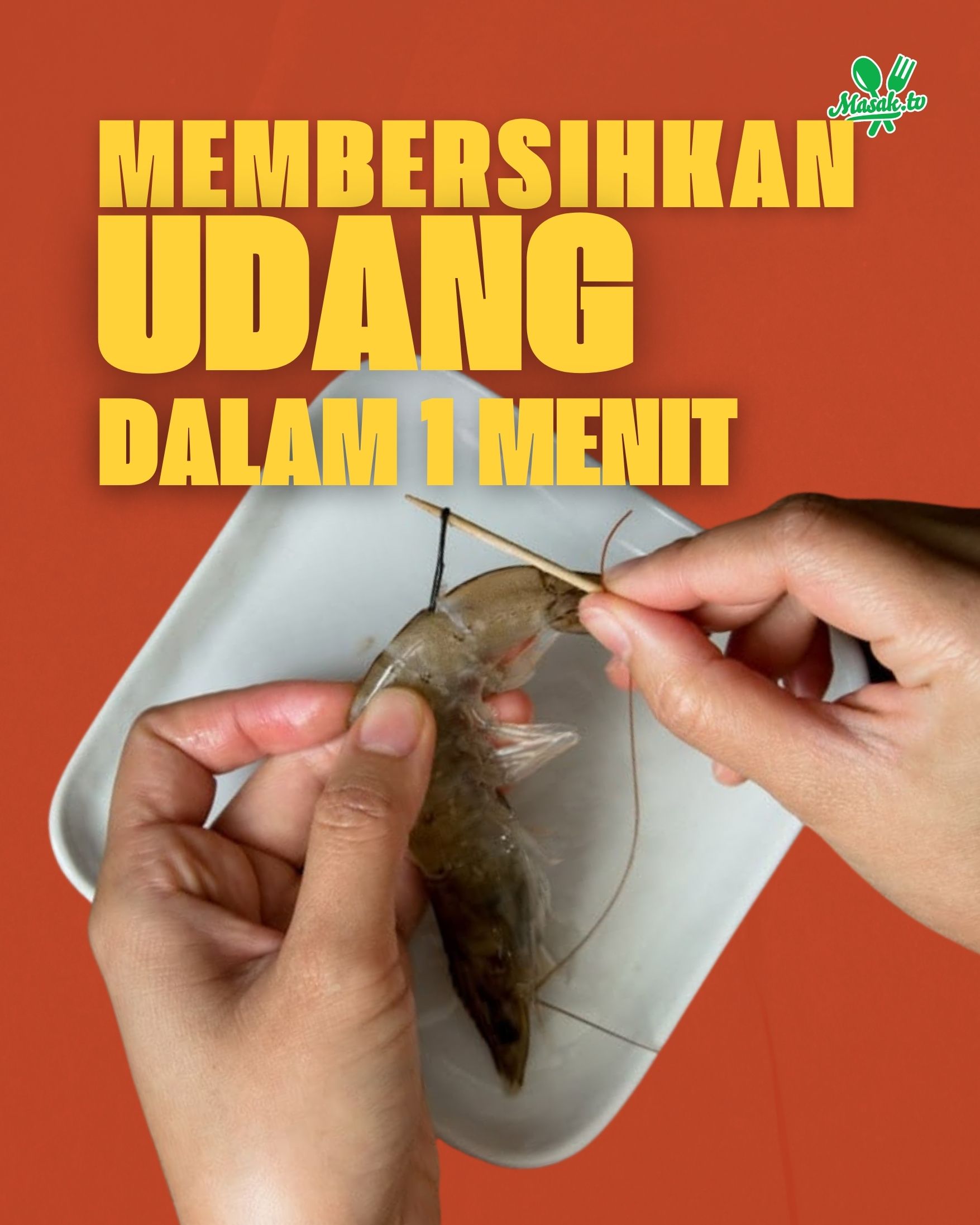 @MasakTV