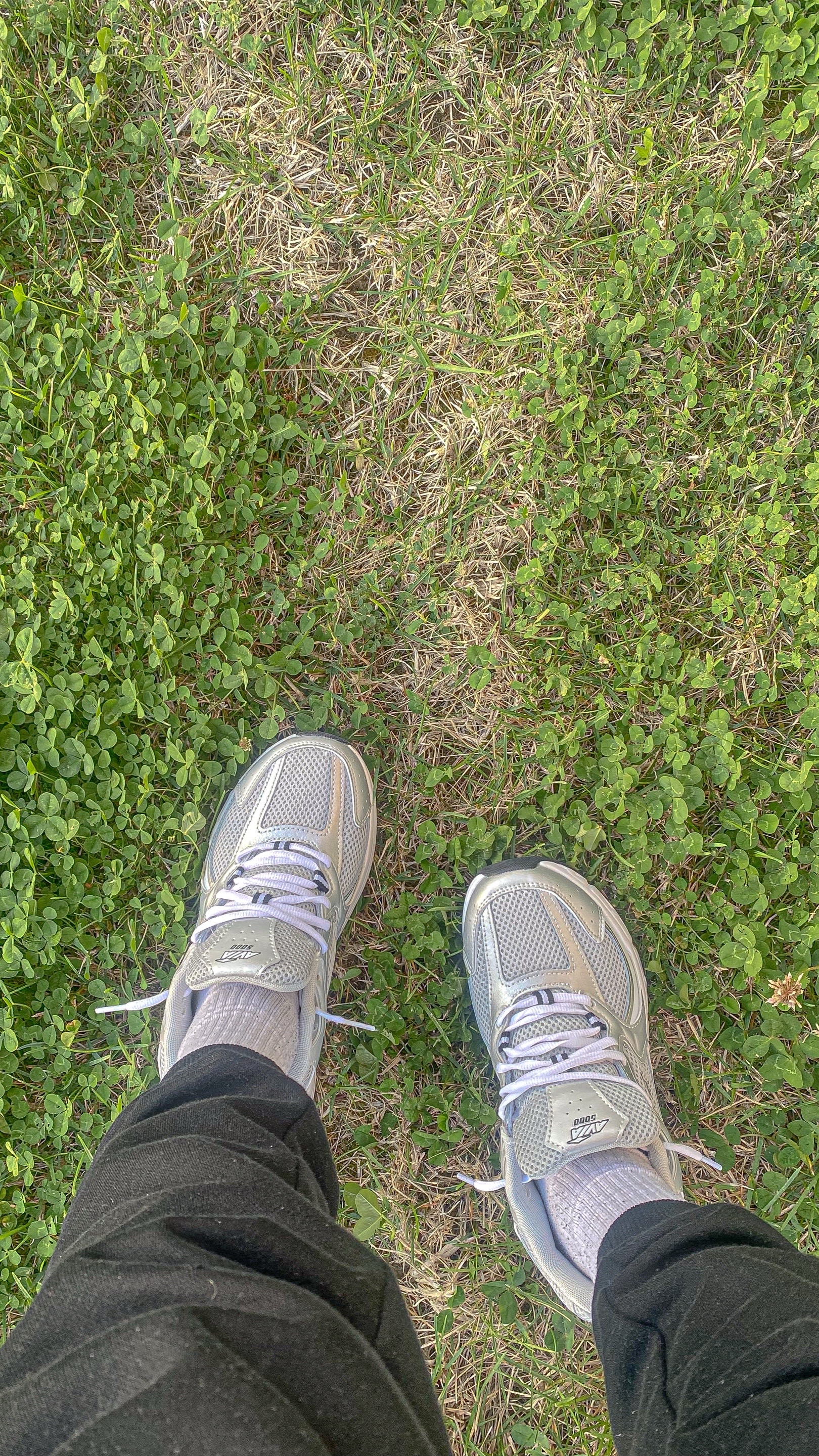 @🄵🄴🄰🅁🄶🄾🄳