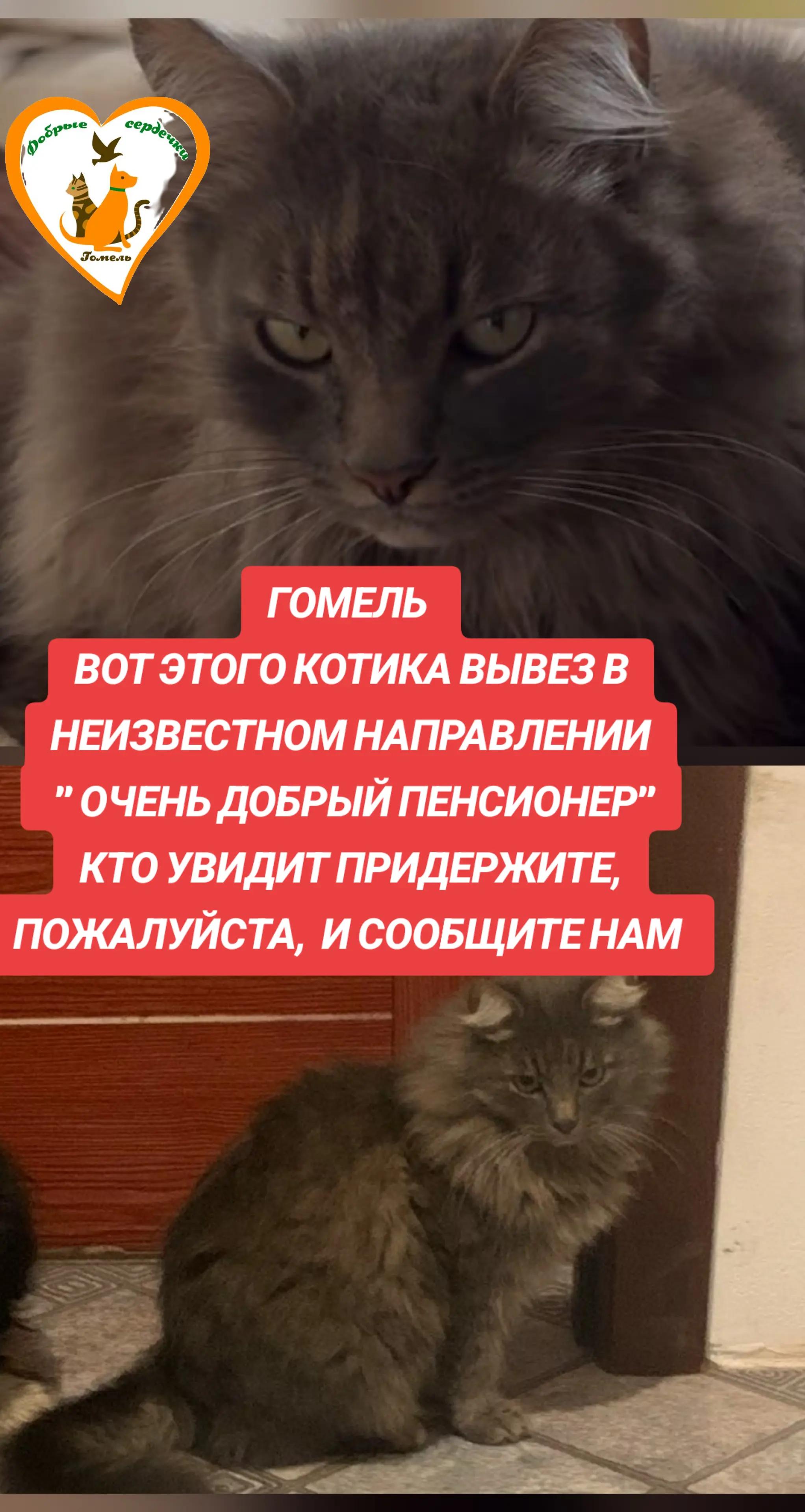 @Марина