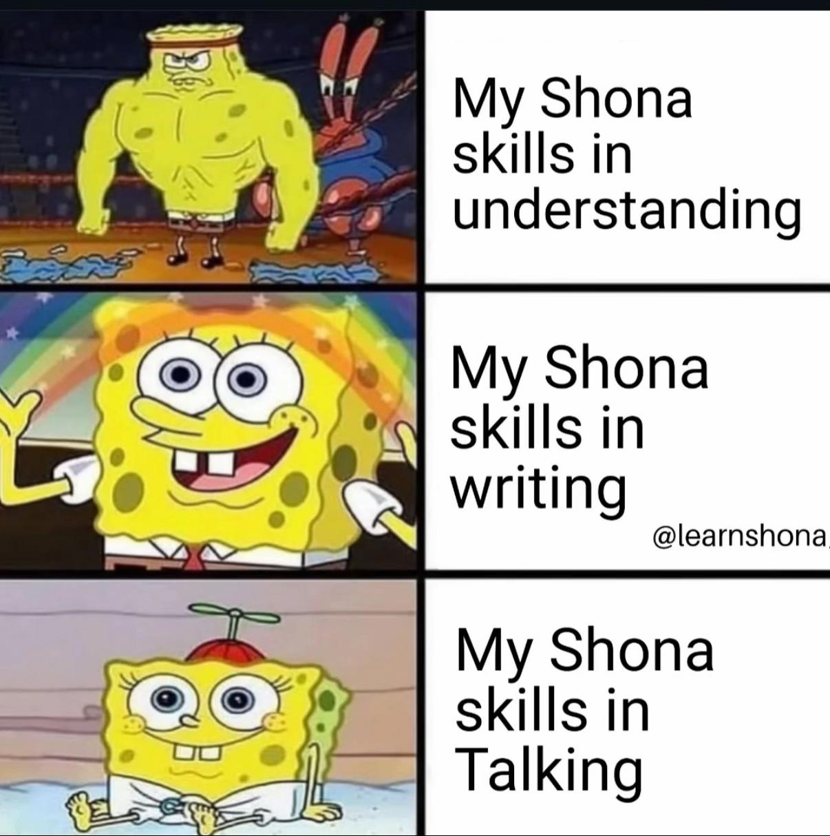 @Learn Shona