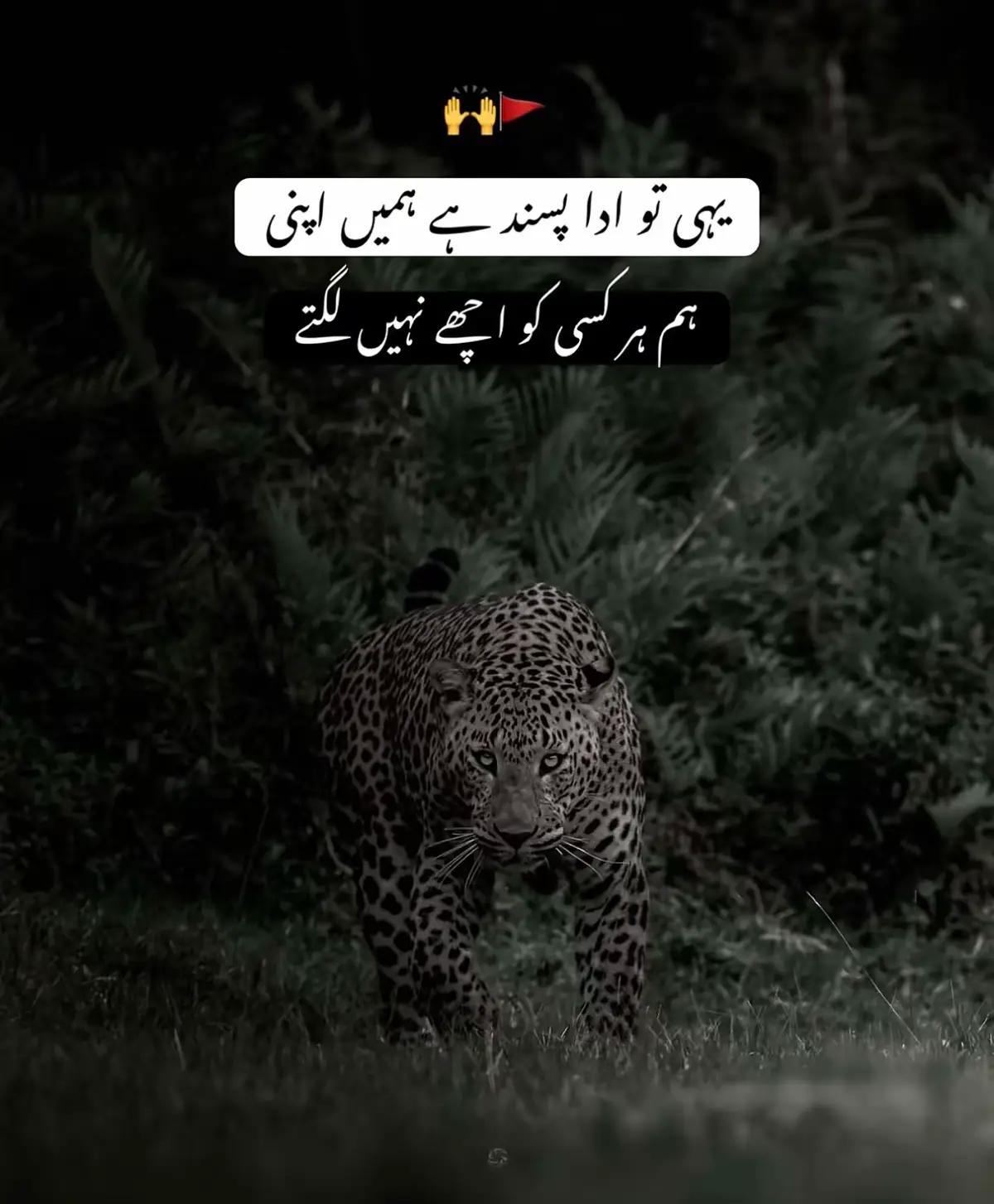 @🦅م ب ش ر🦅