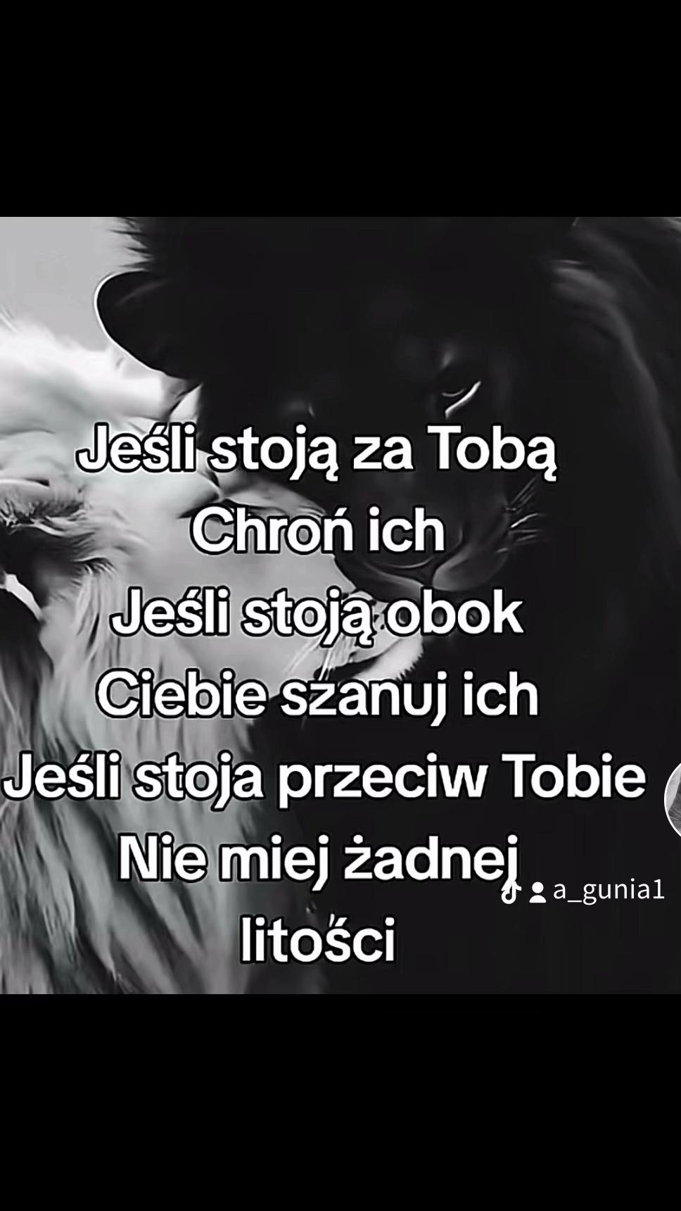 @🔥A_Gunia🔥