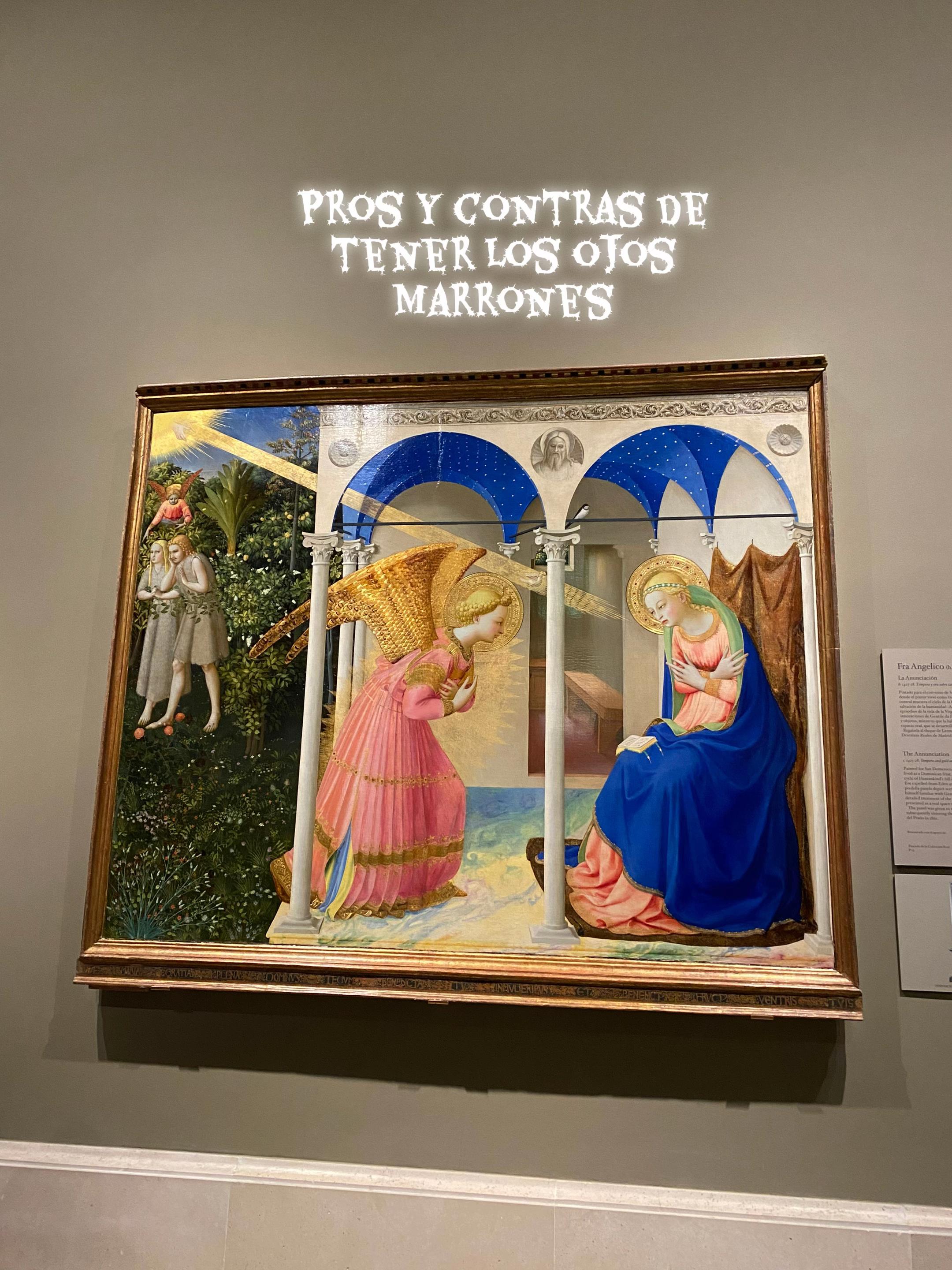 @bego.df