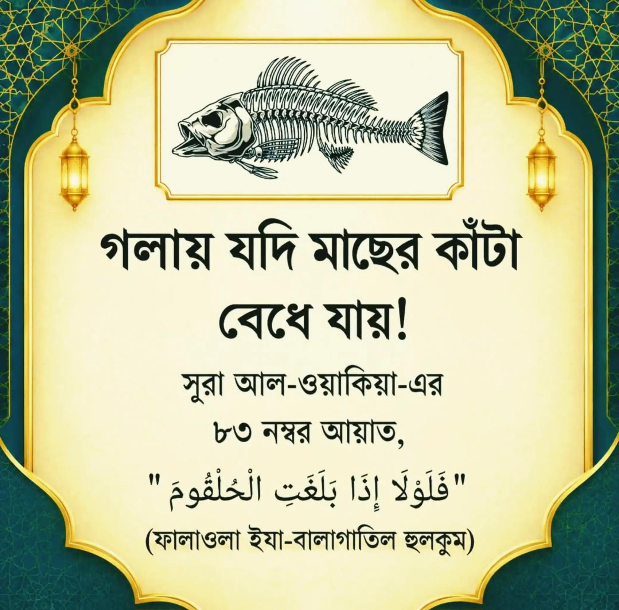 @⚘❤Arifa &hearts;️🕋