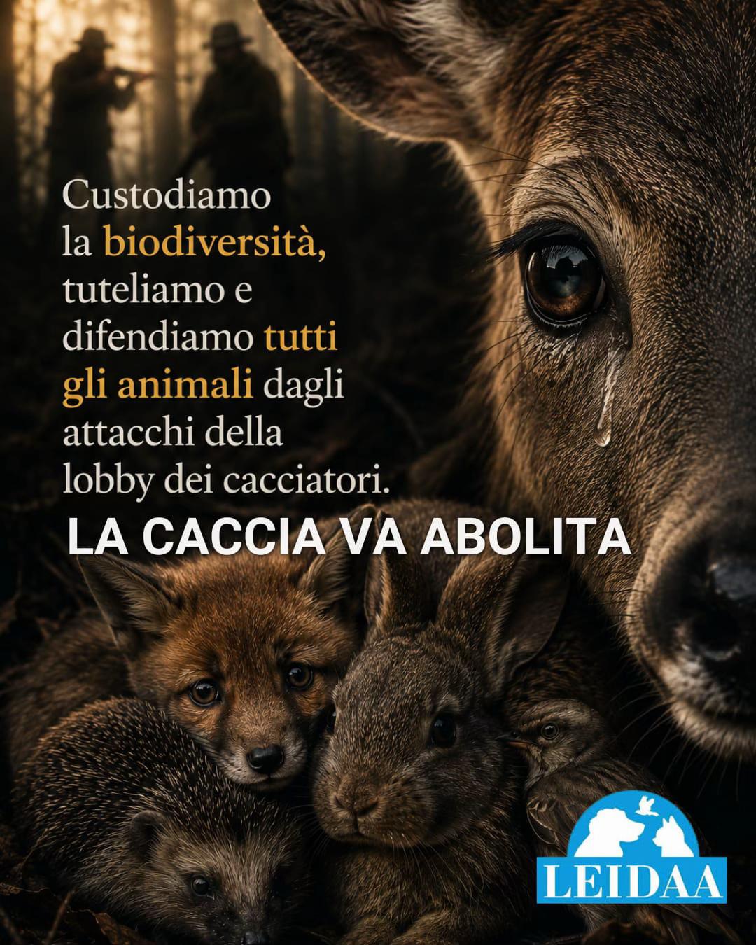 @Michela Vittoria Brambilla