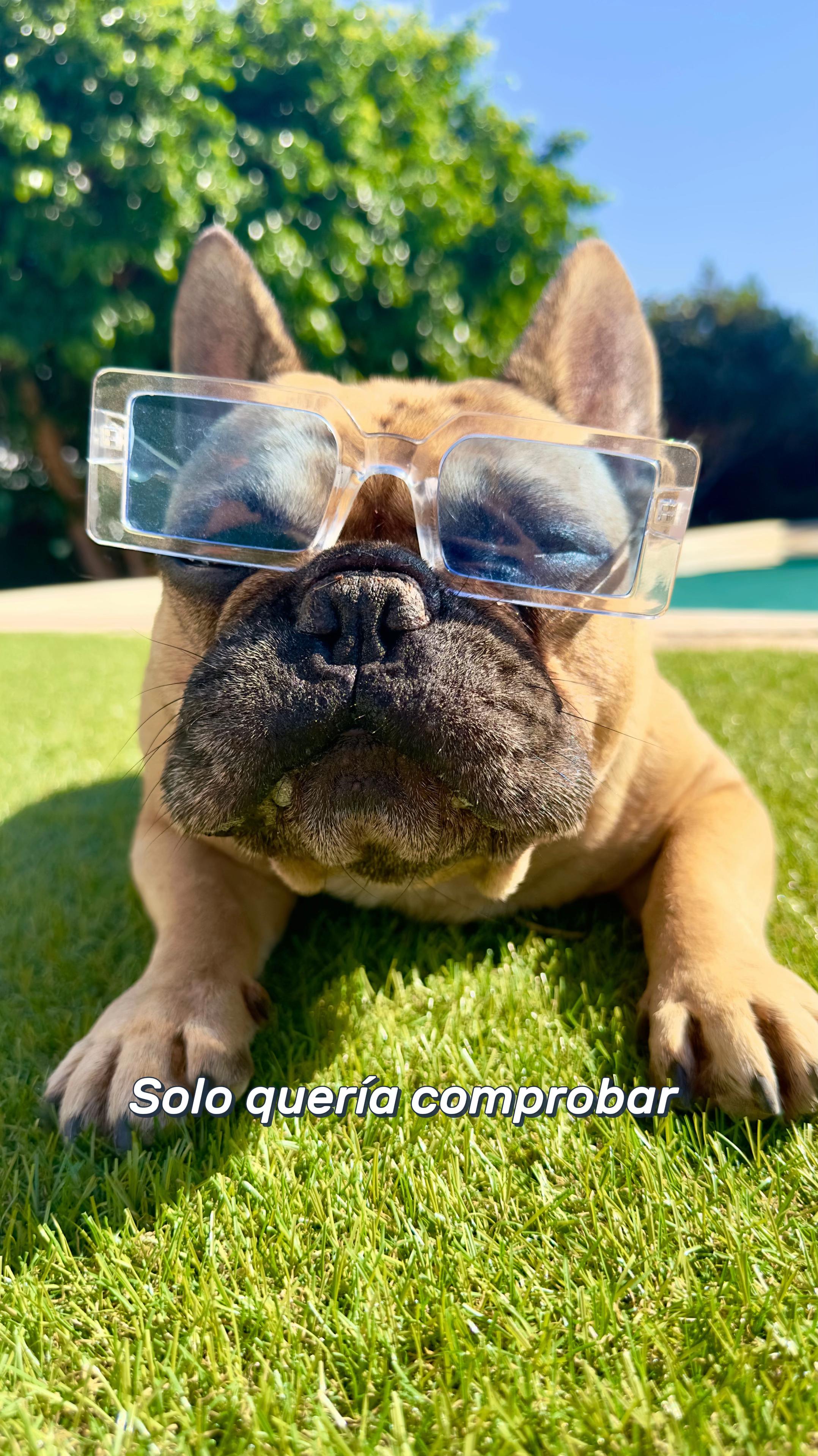 @Teamocerdito