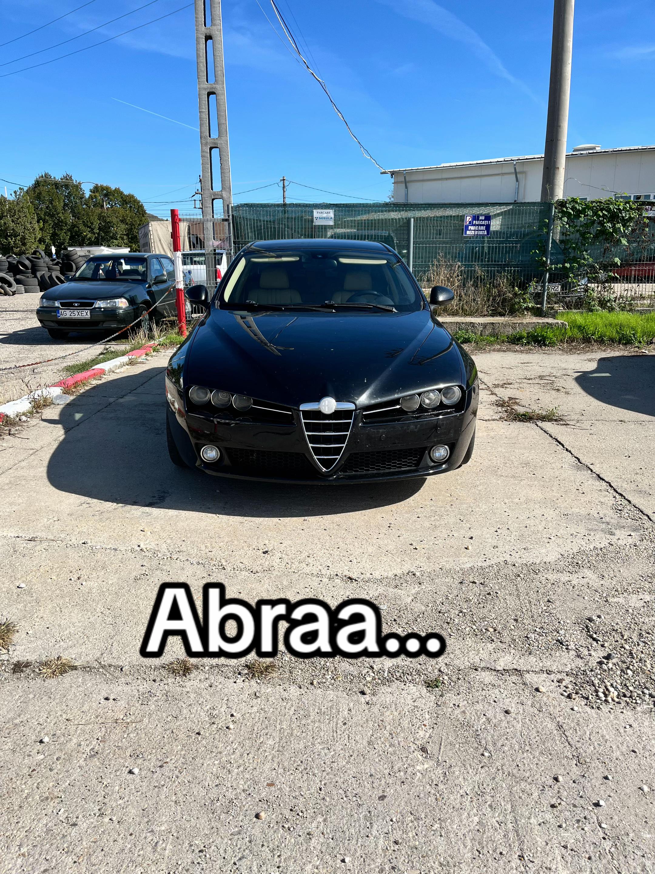 @Alex🦈