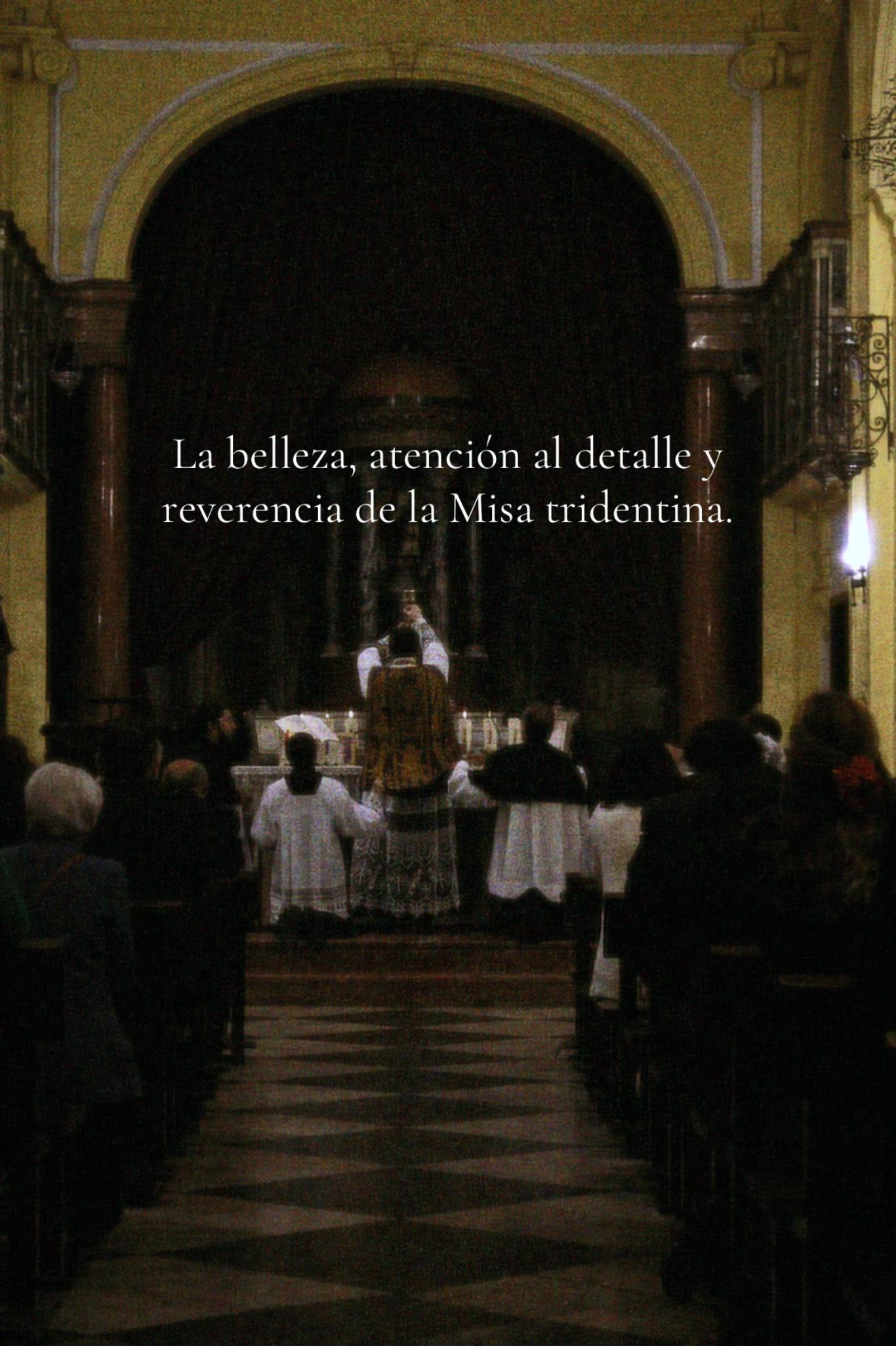 @Cristina 🇻🇦
