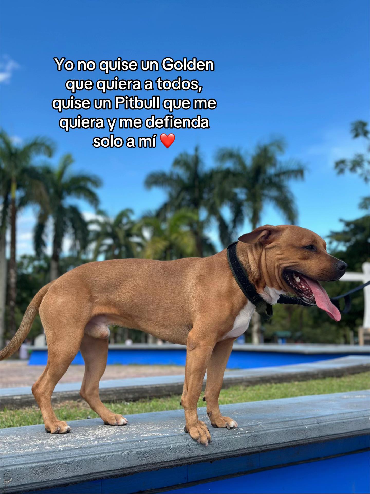 @Maycol 🌩️
