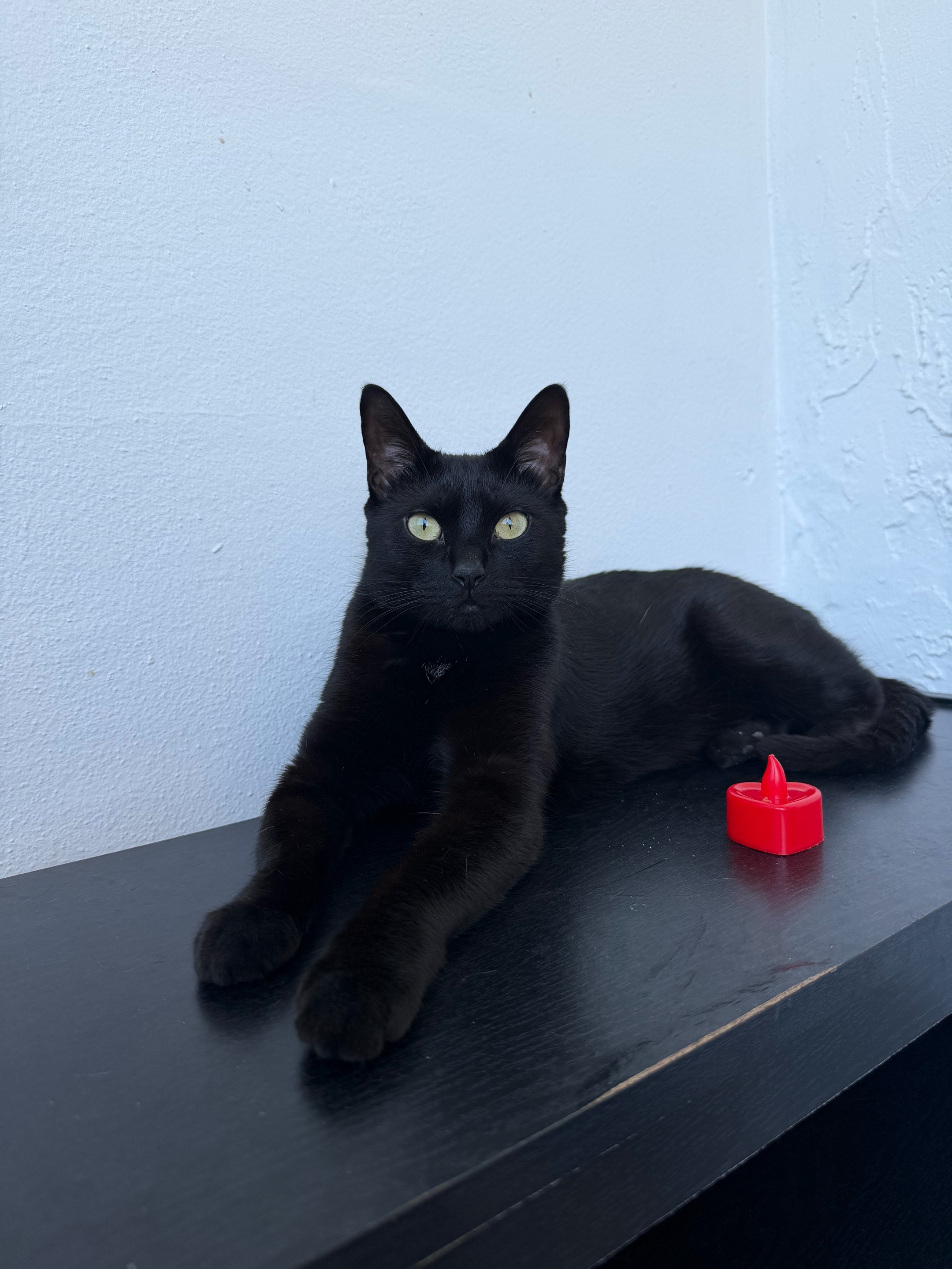 @I&rsquo;m Kitty 🐈&zwj;⬛