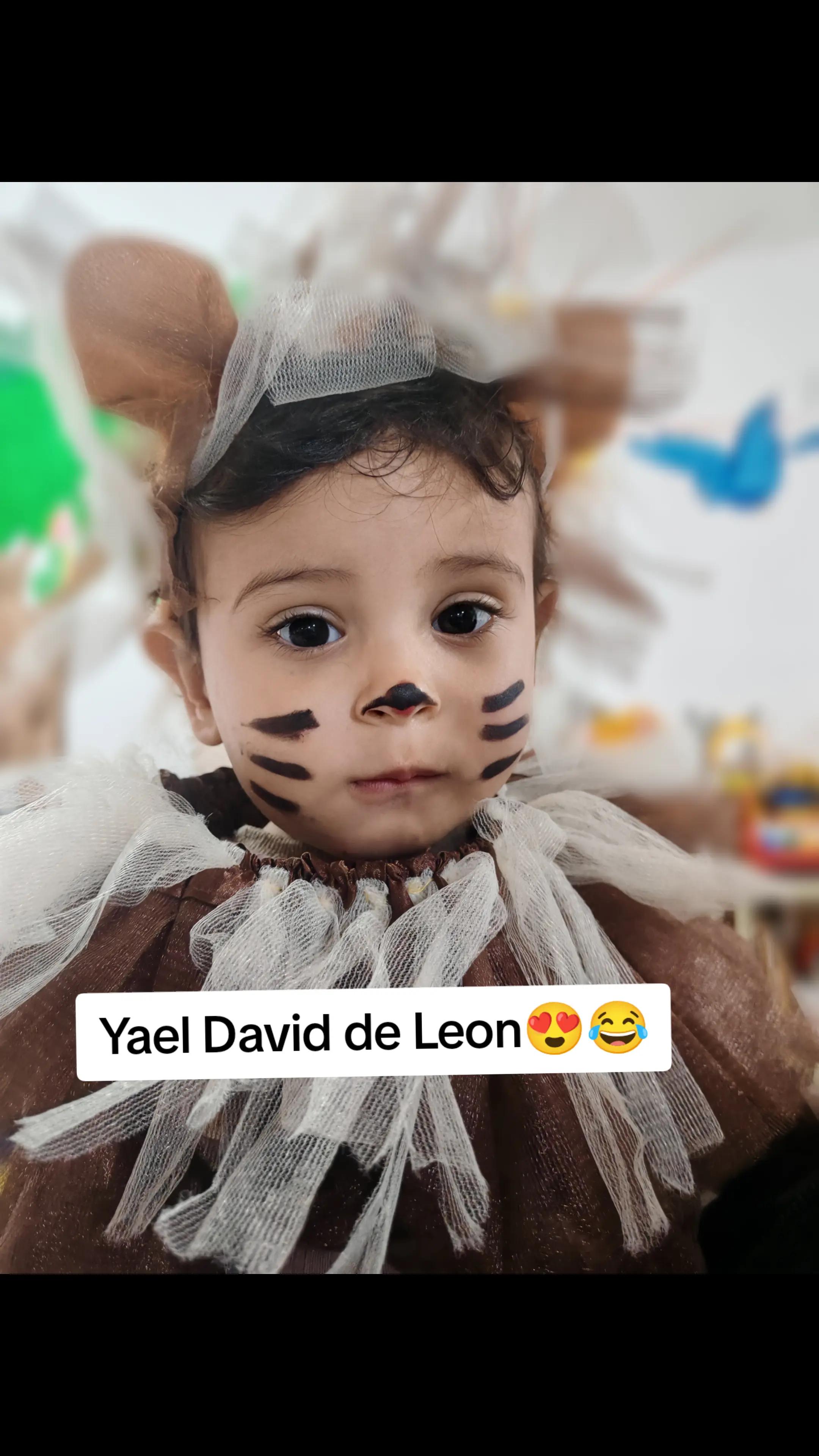 @Yael David