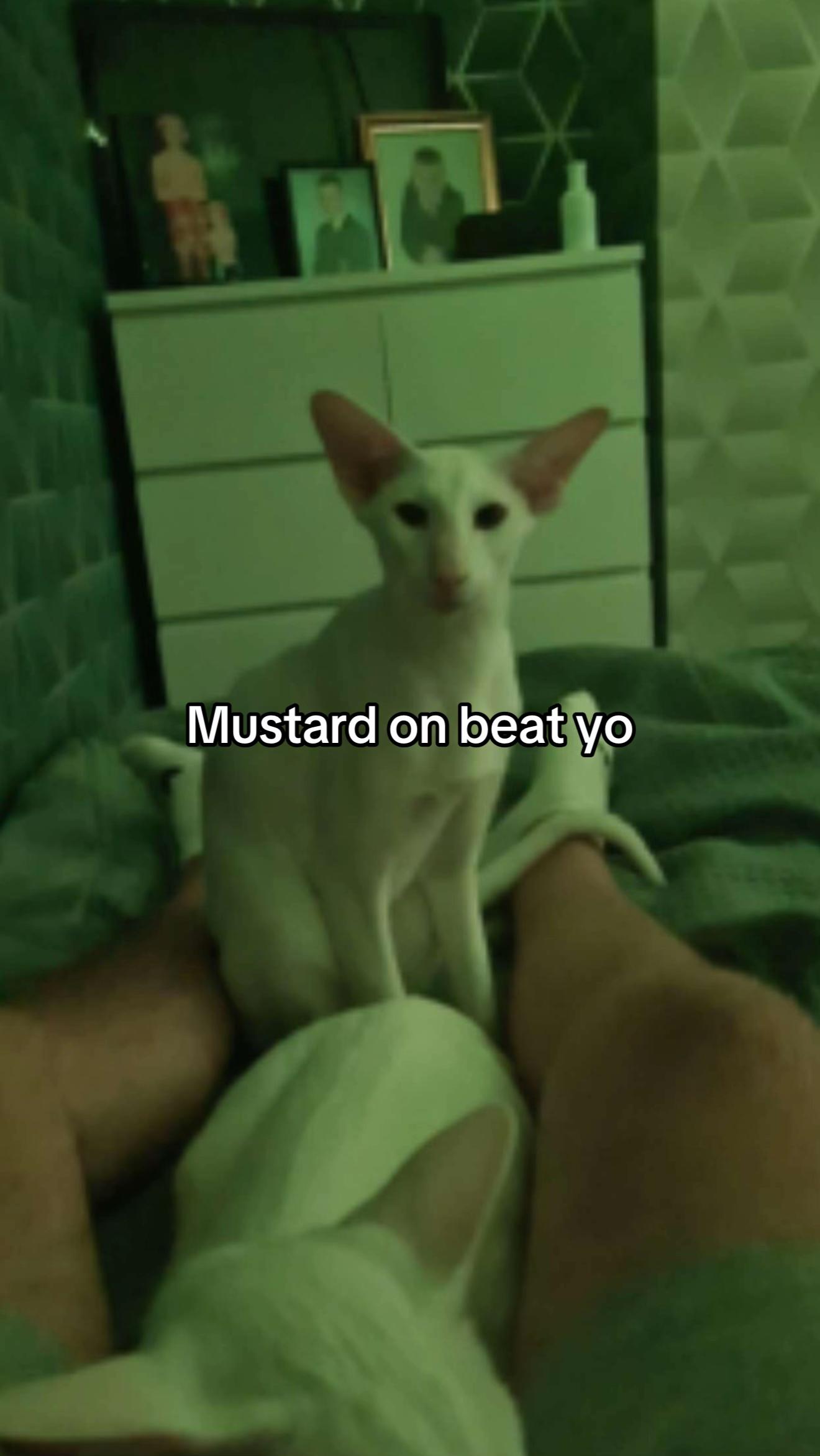 @kyxlan