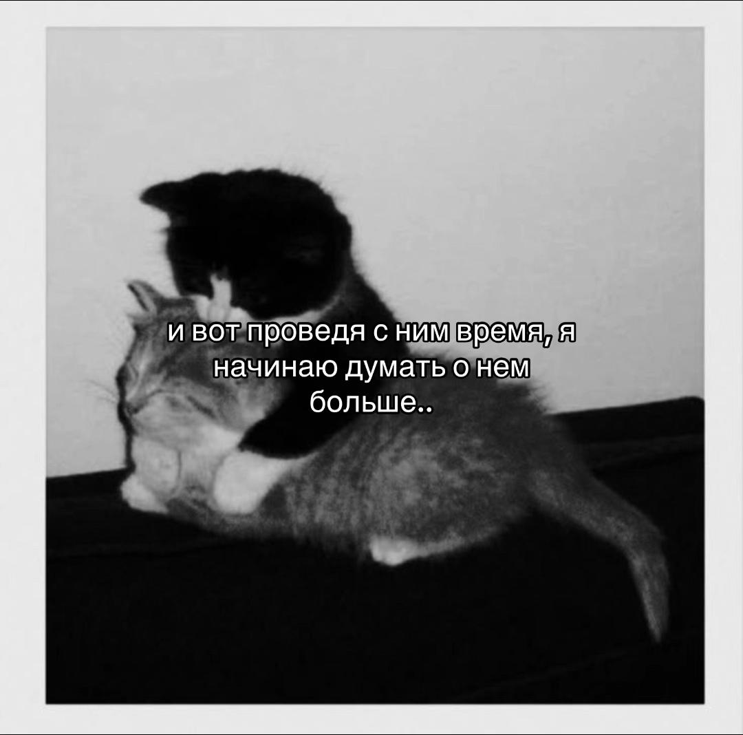 @🖤🖤🖤