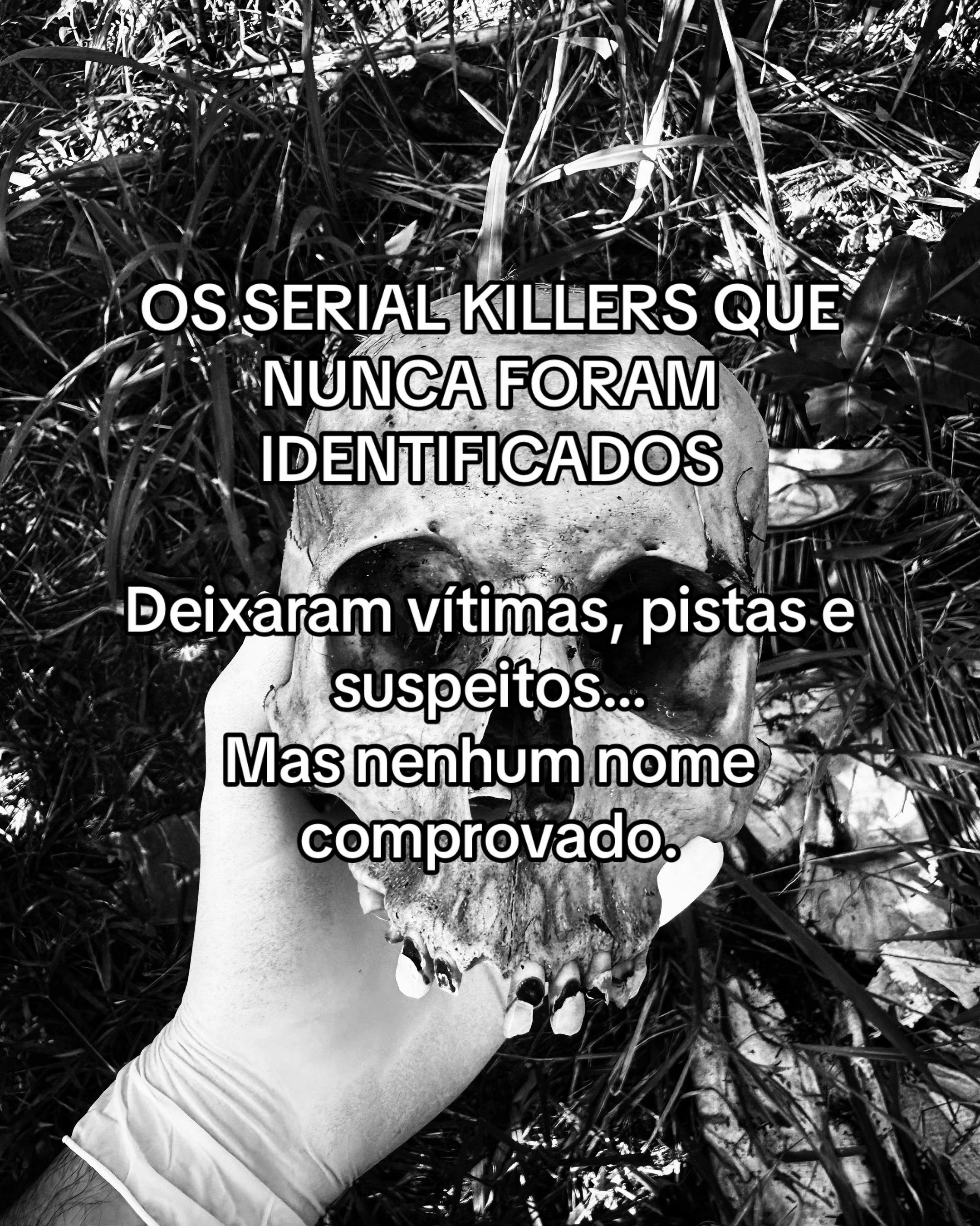 @Perito Lameirão