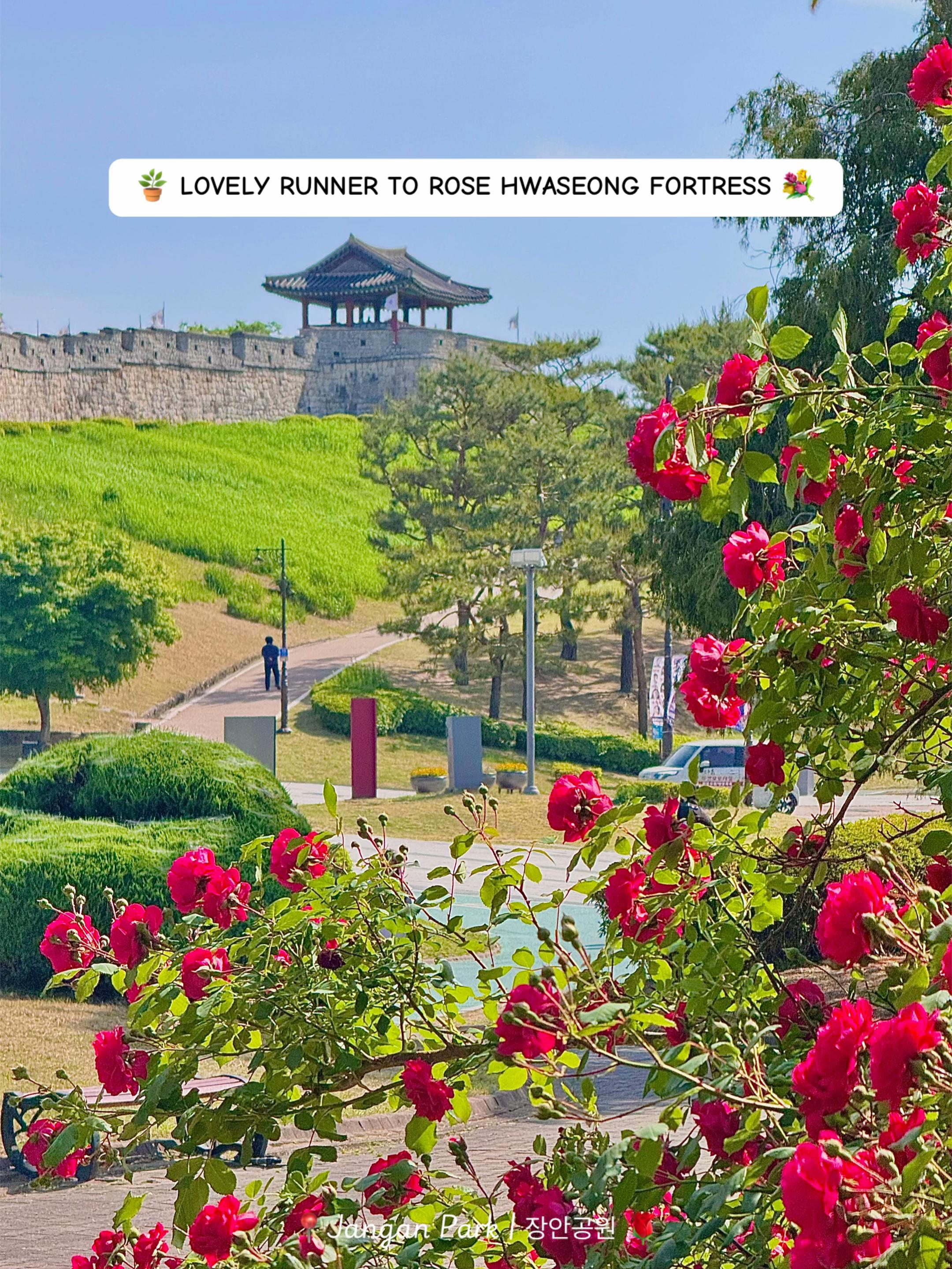 @Jun 🇻🇳