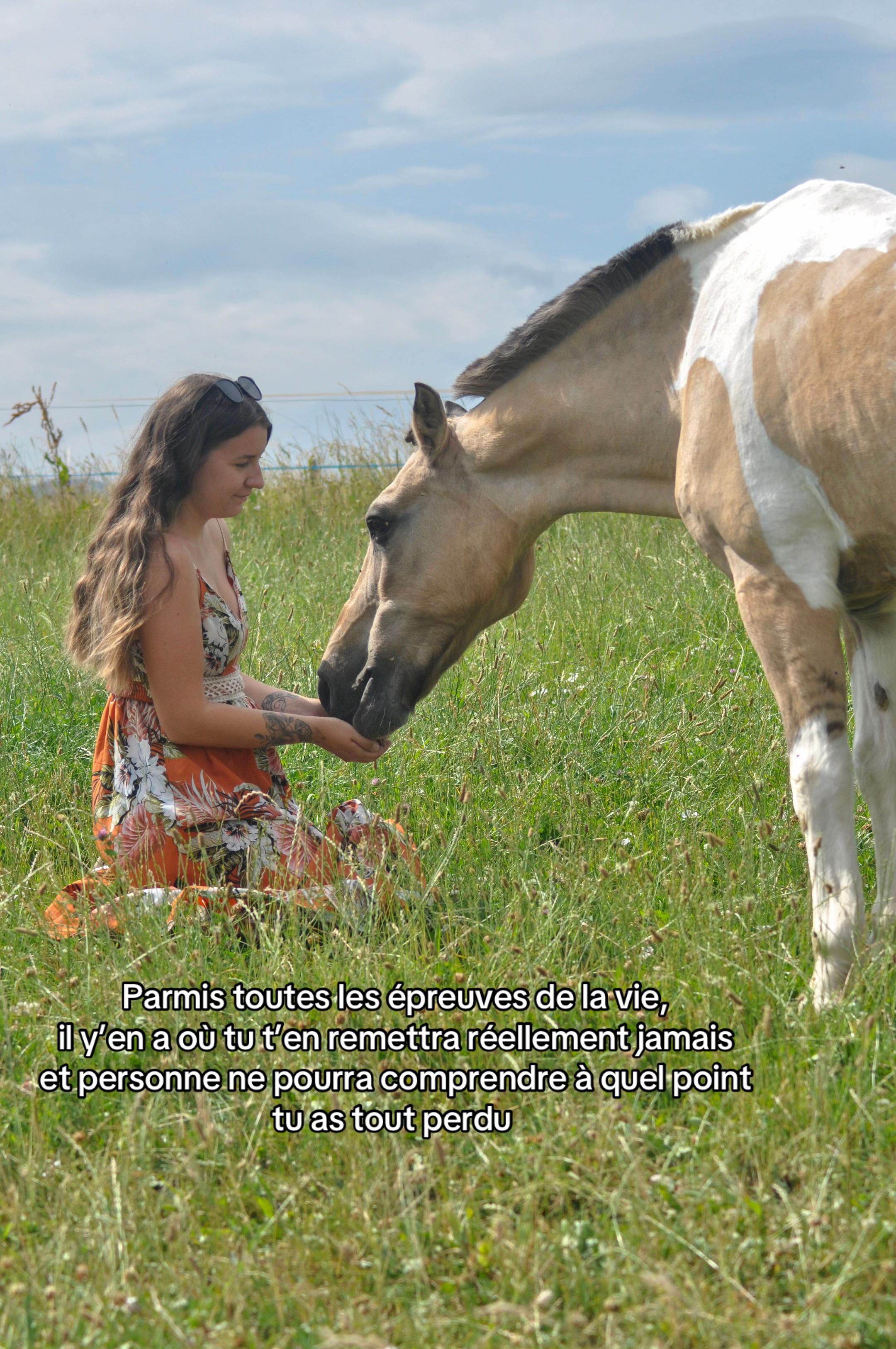 @mon poney pie