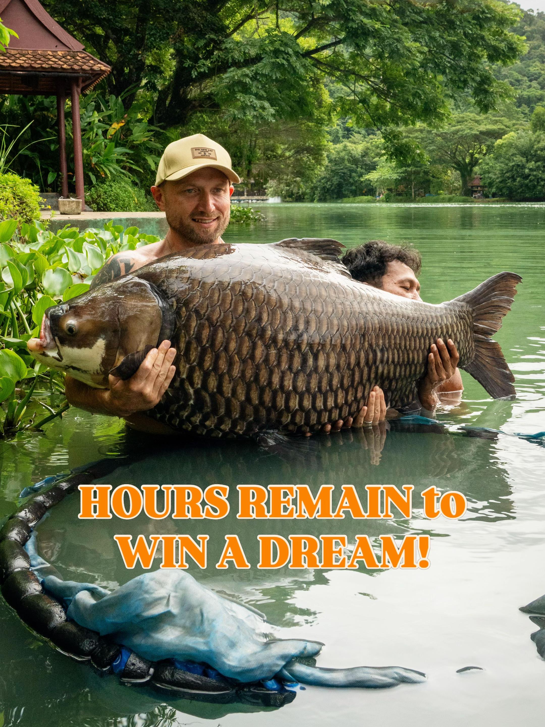 @Ali Hamidi Angler