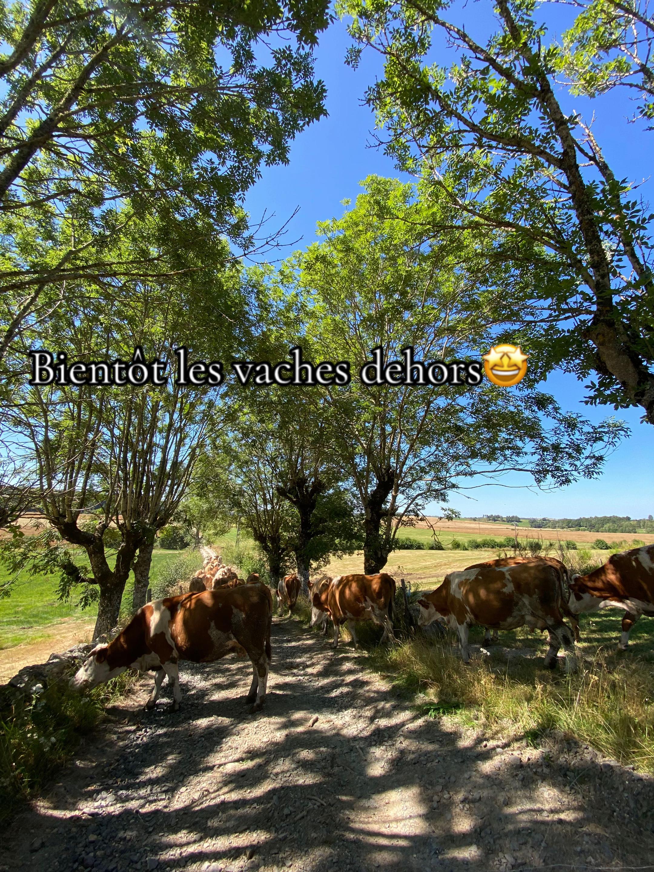 @pignol francois