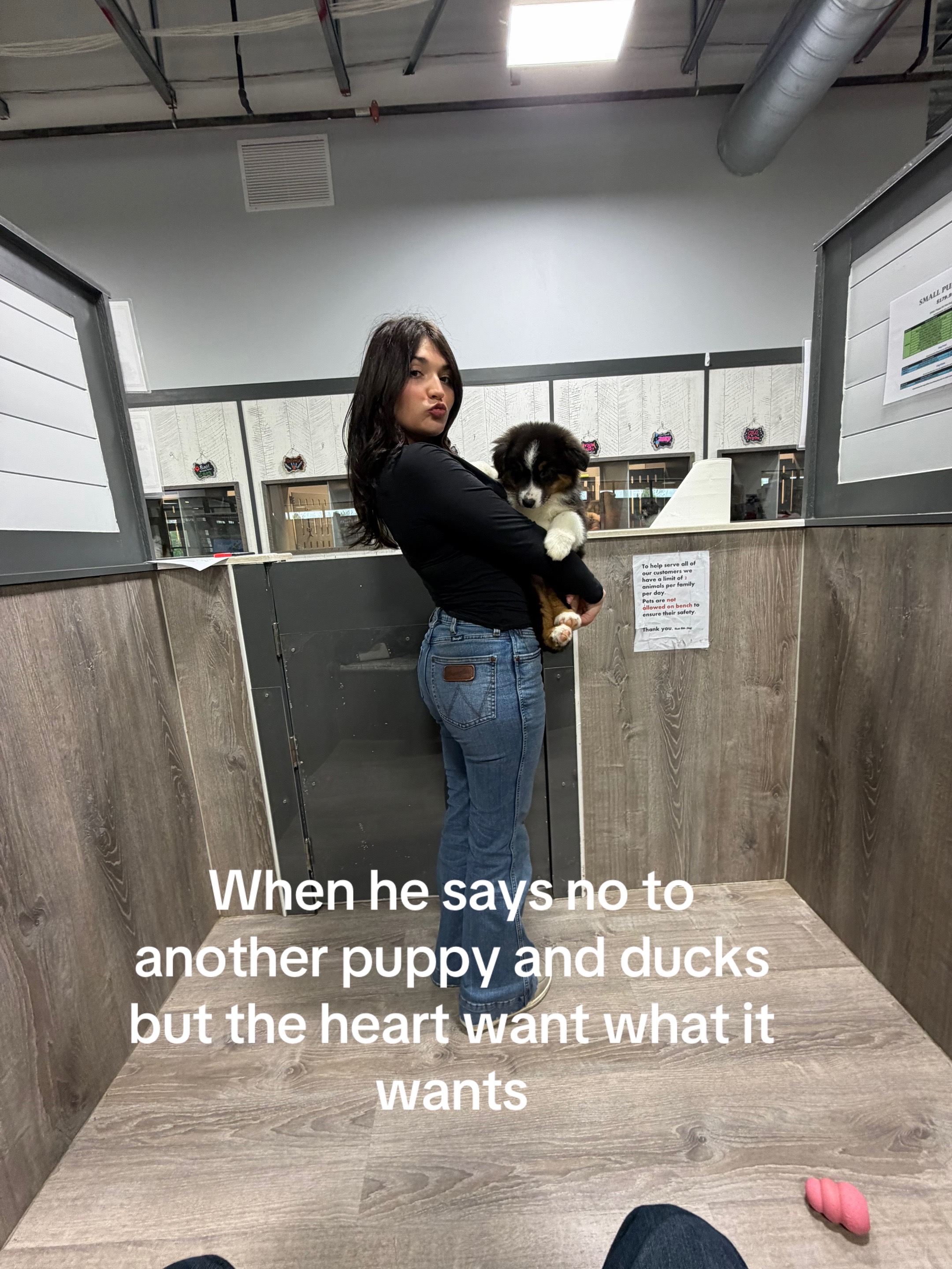 @Cecilia