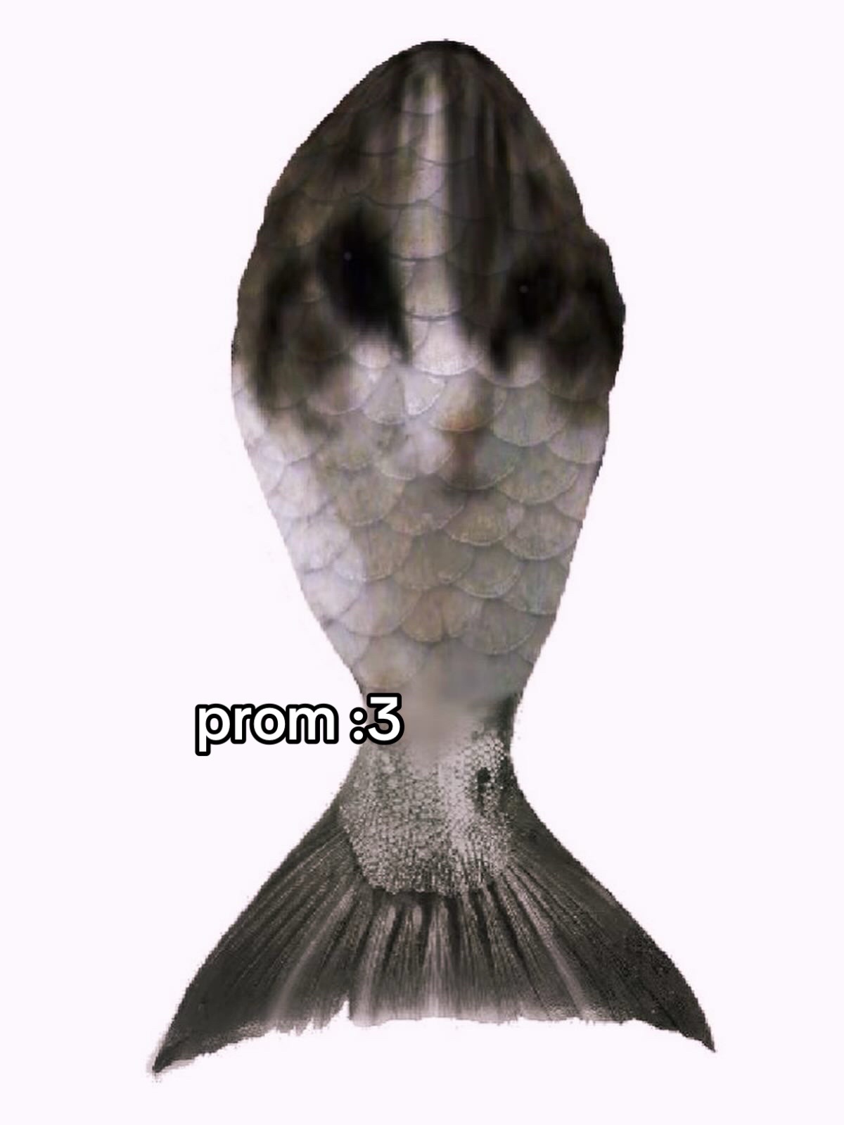 @ᜊᜌᜈᜒ // ᜎᜓᜎᜓ