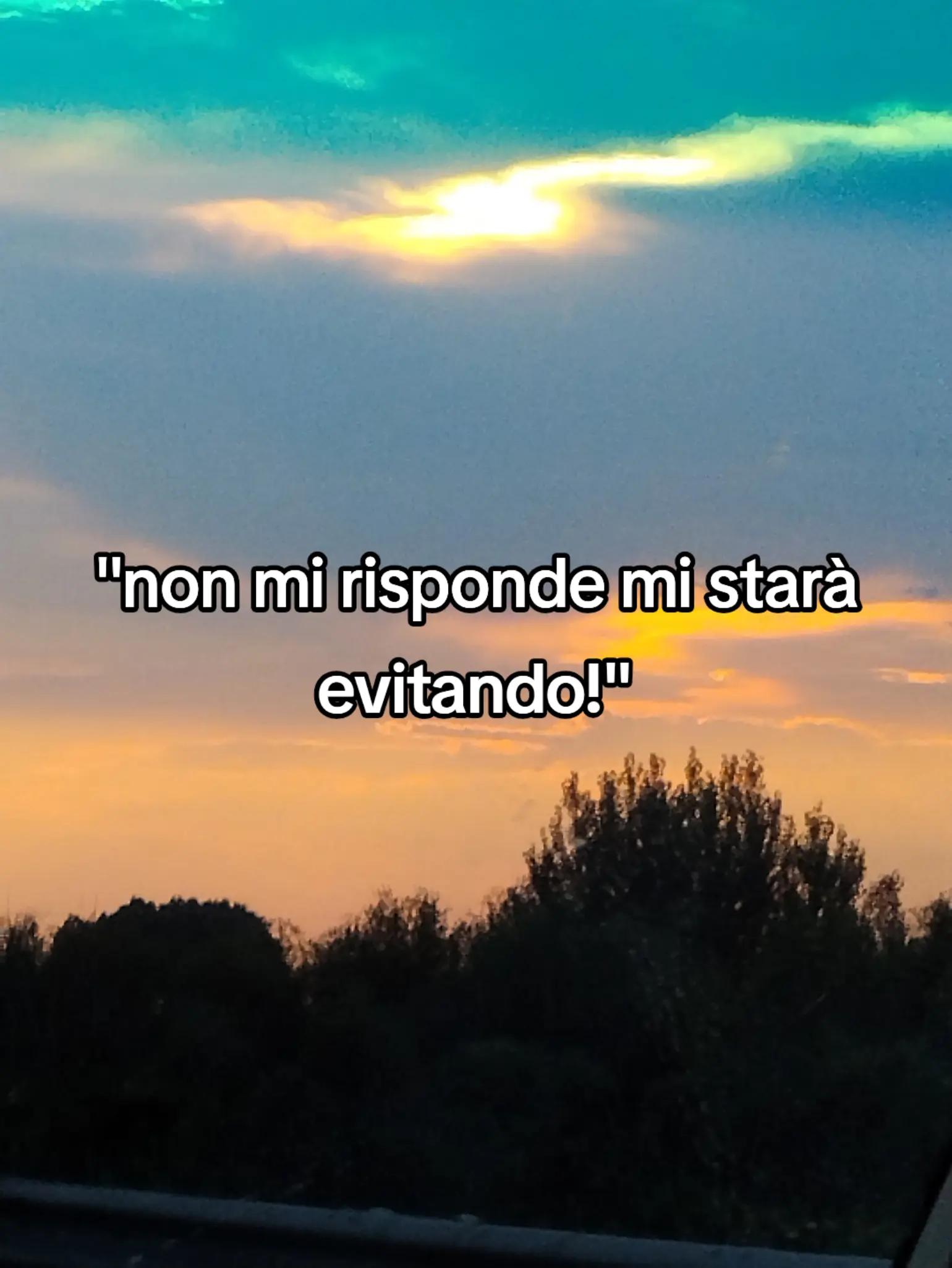 @☆★Rosa★☆