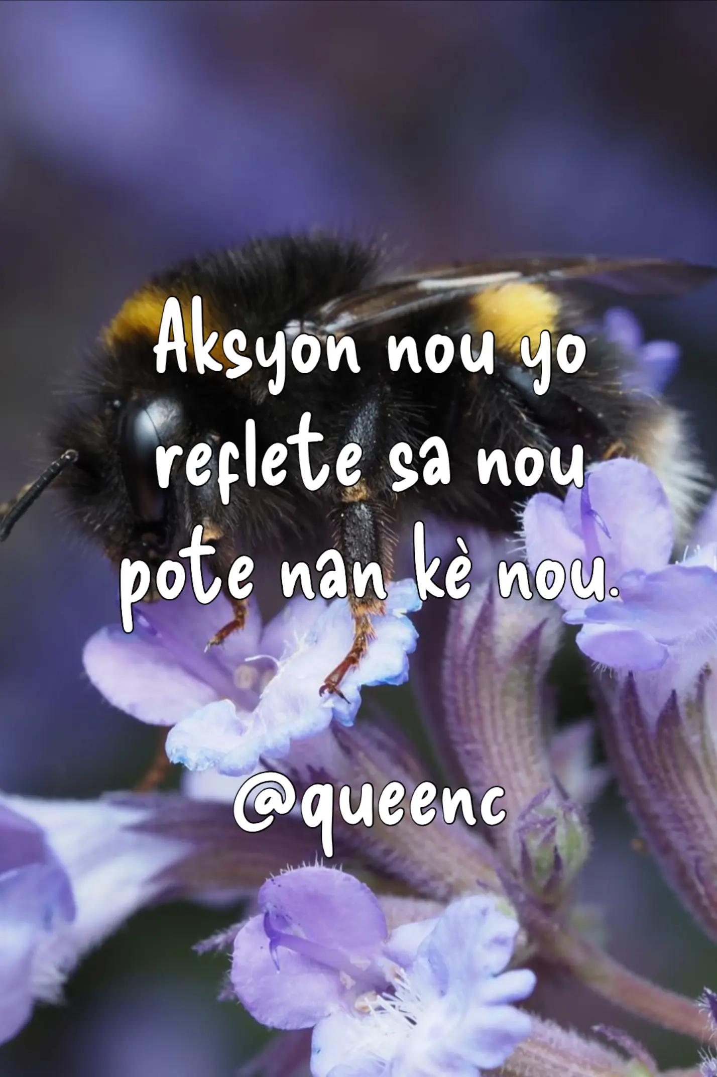 @Chilou✨👑
