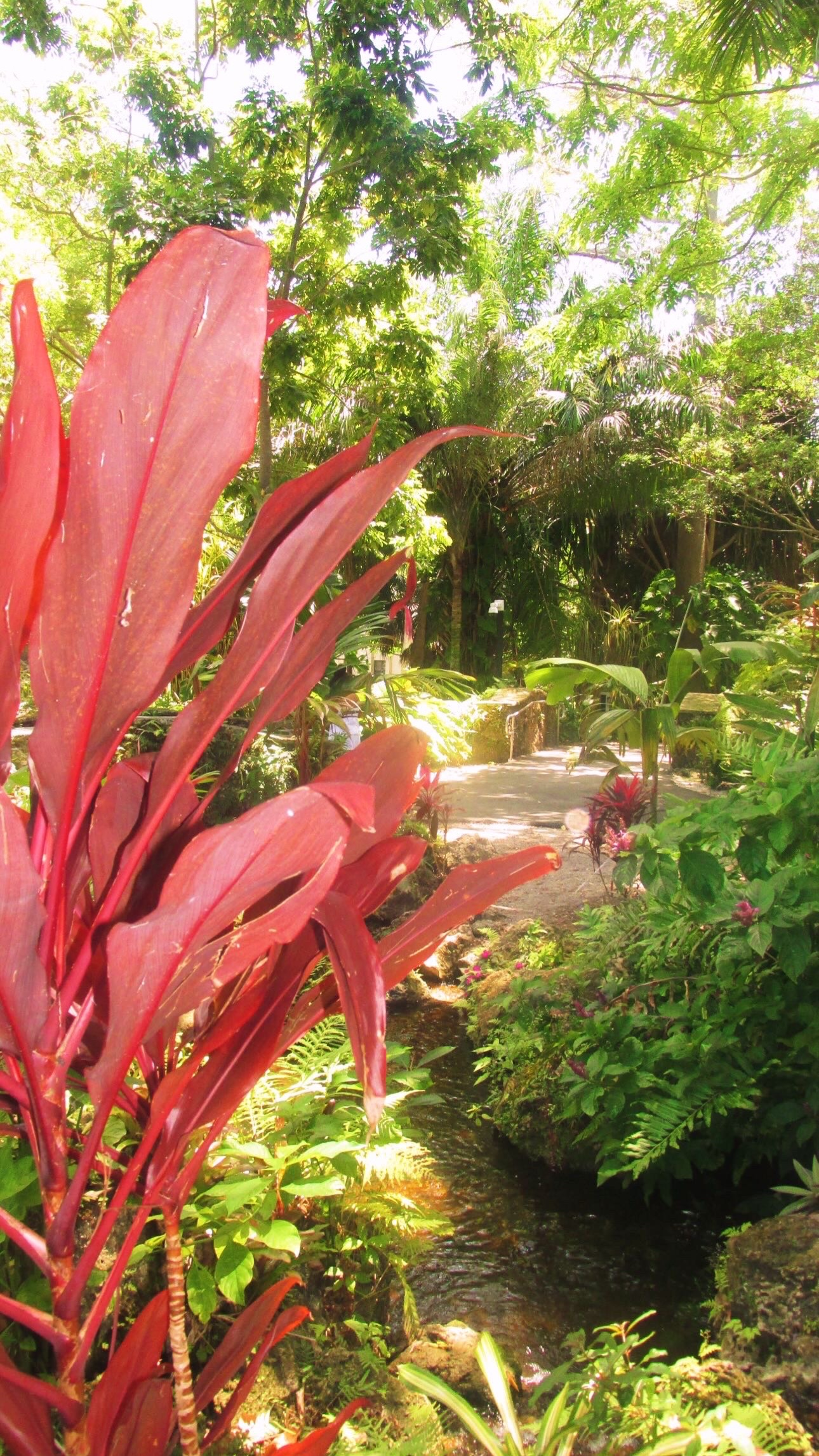 @hearteater_6