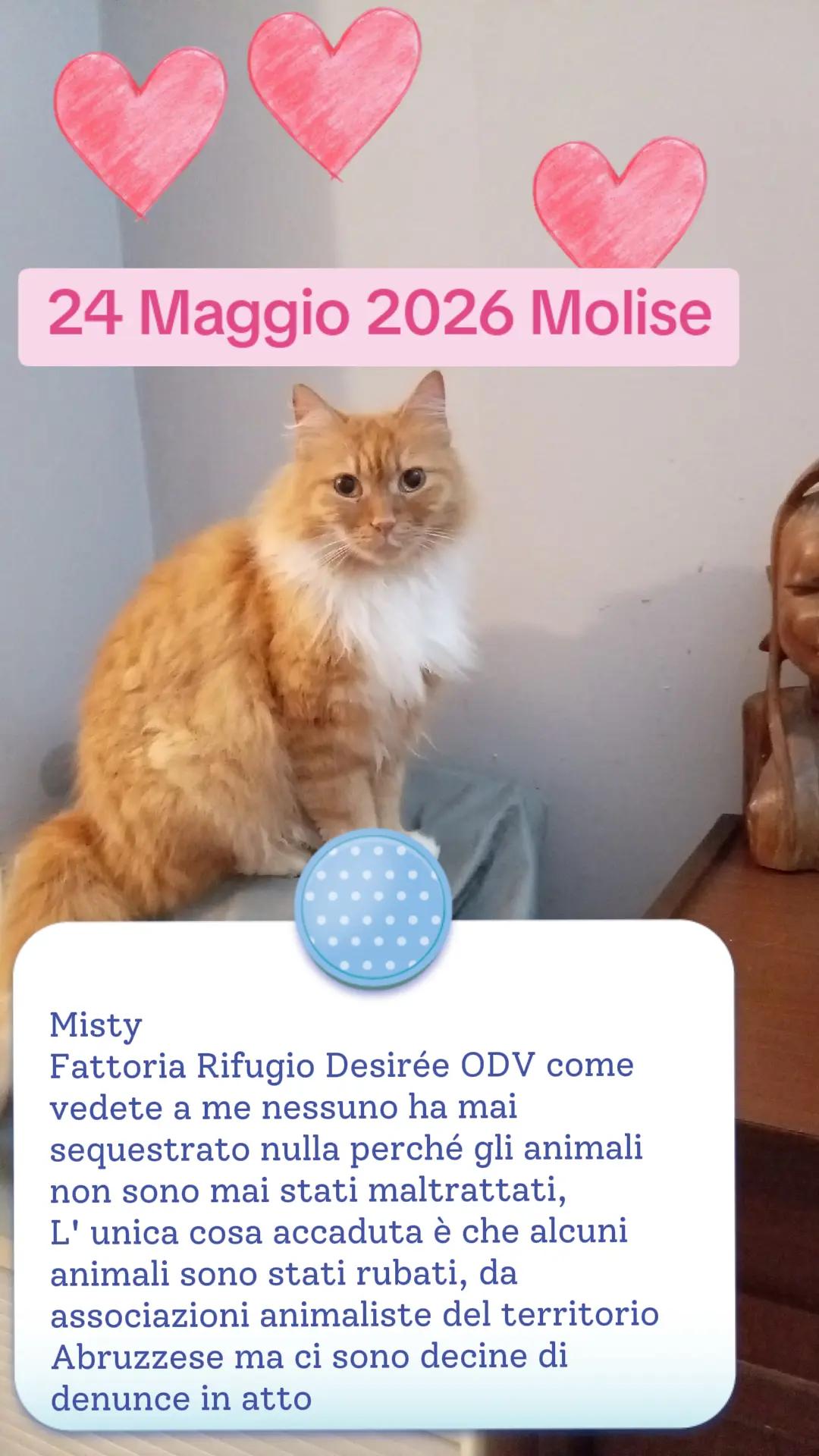 @Raffy si è rotta i........