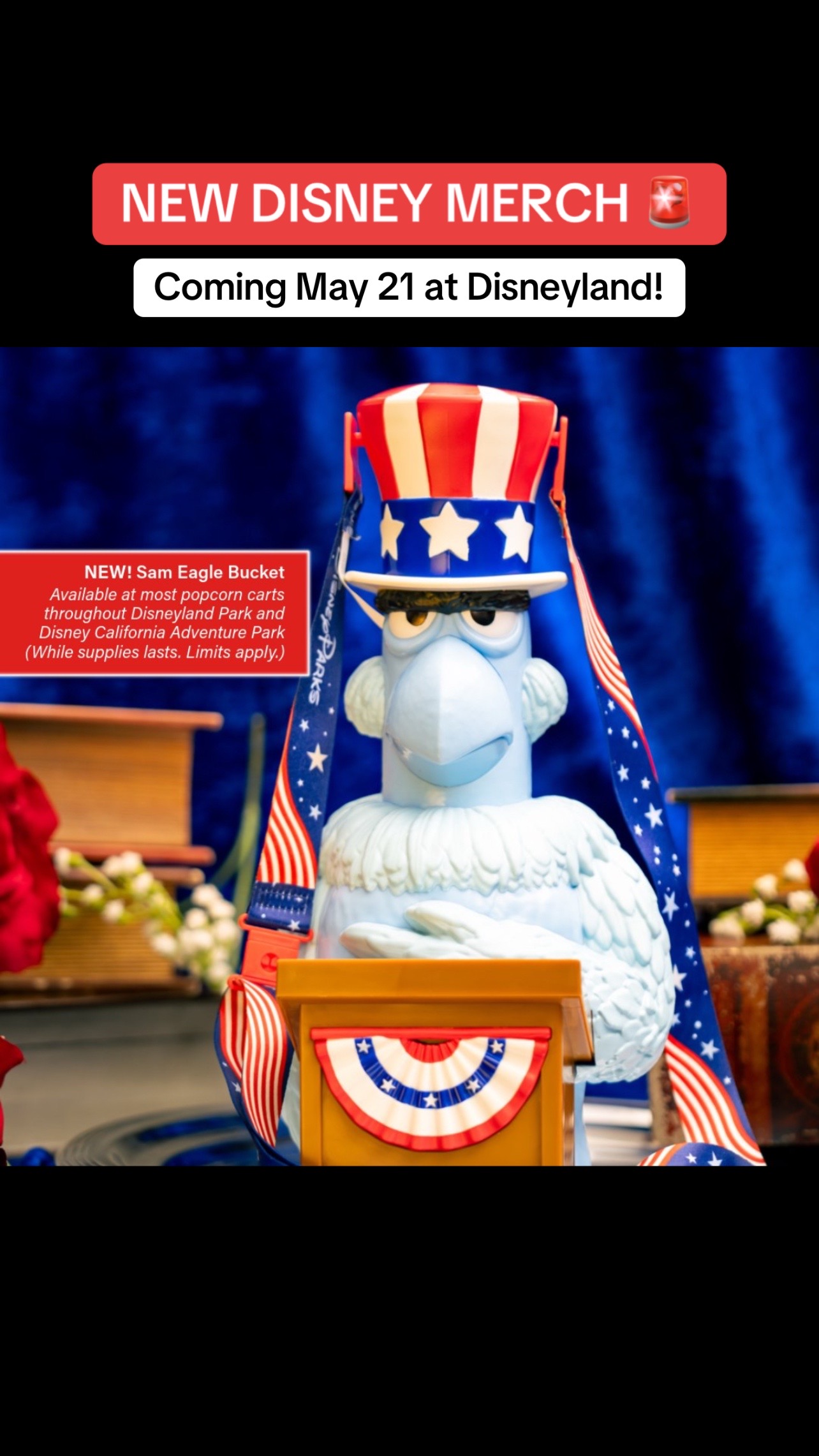 @LBV TV • Disney & Theme Parks