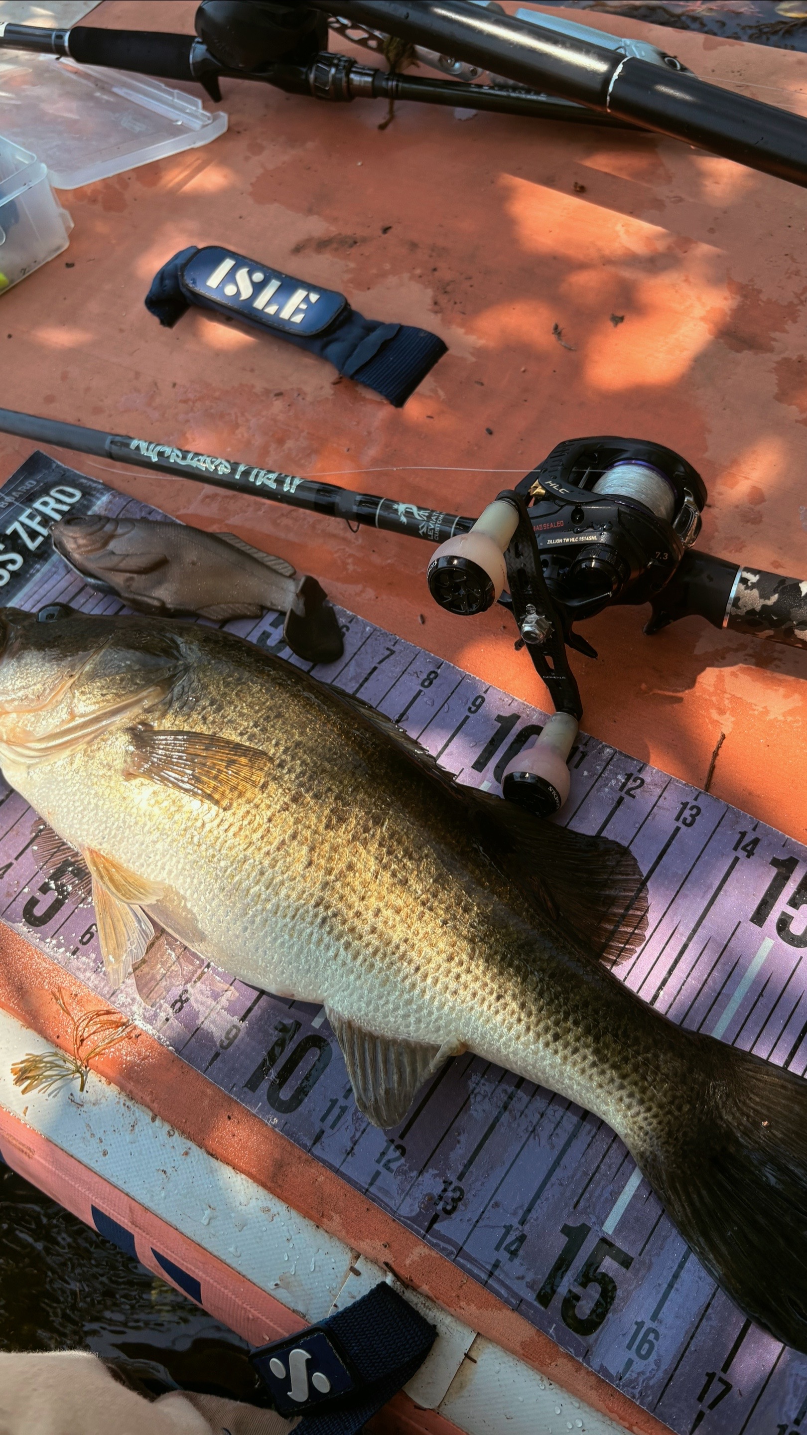 @Swimbait_noah