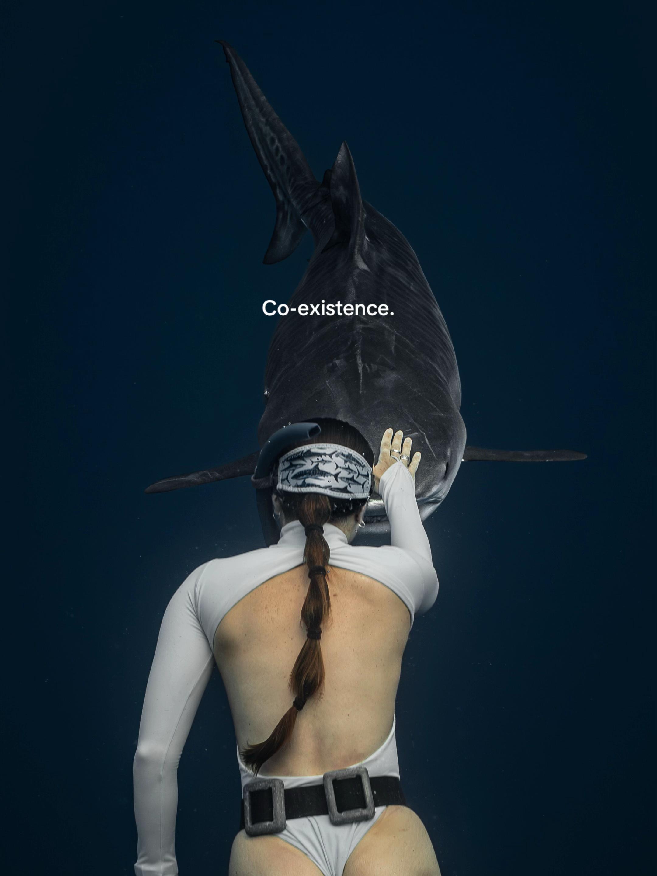 @Kendall | Shark Photographer