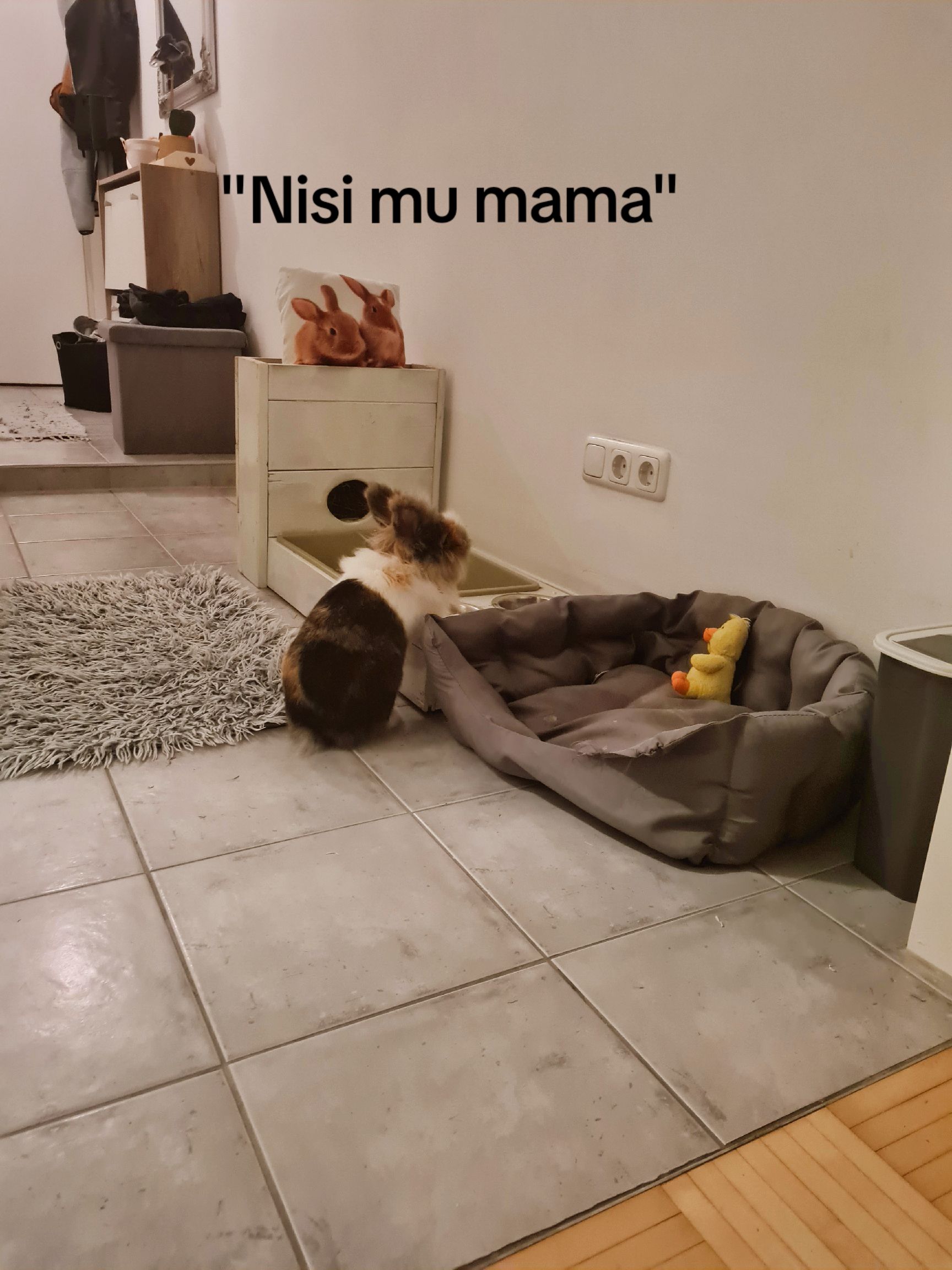@eleonora