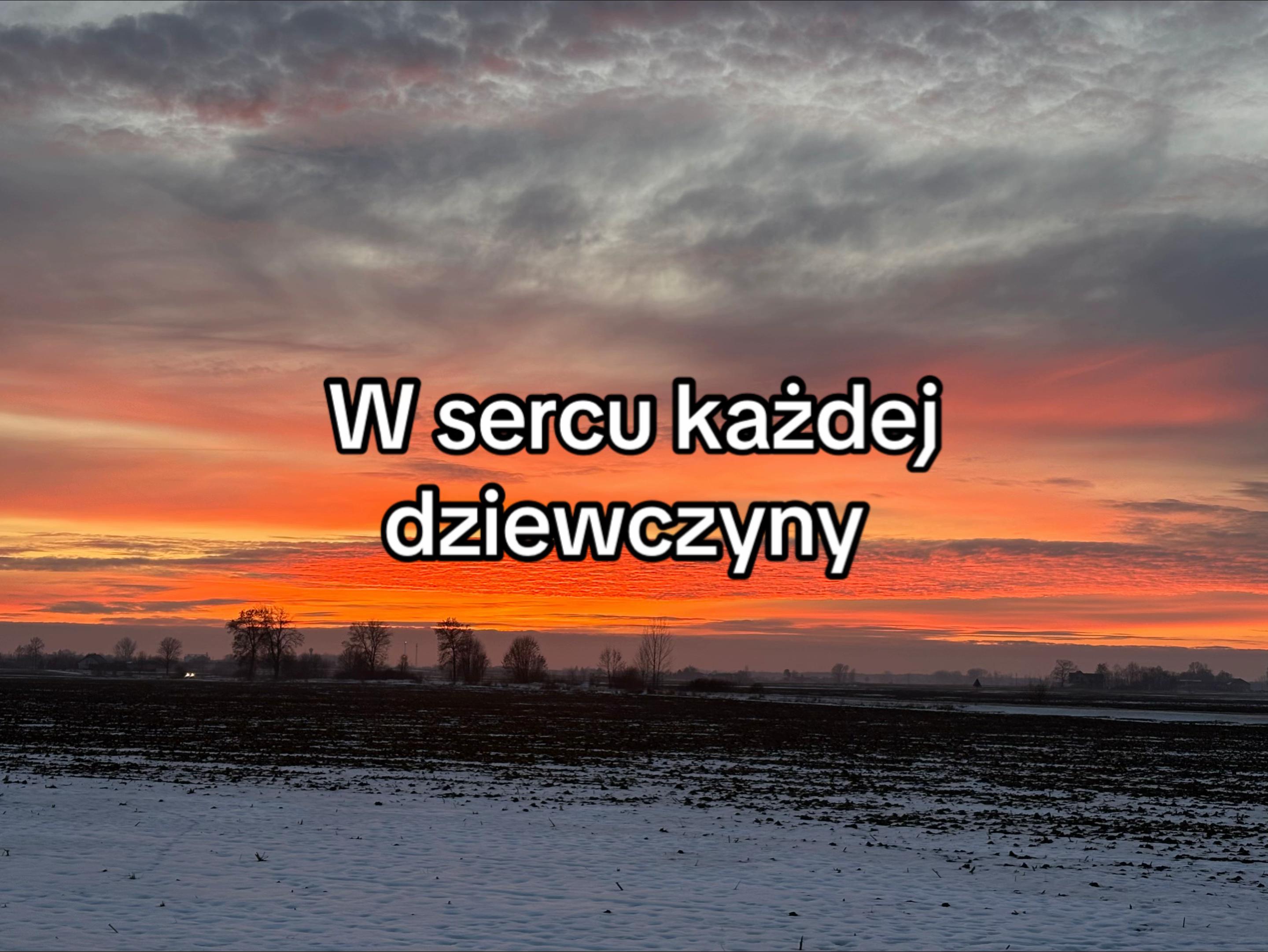 @wikssv_vv