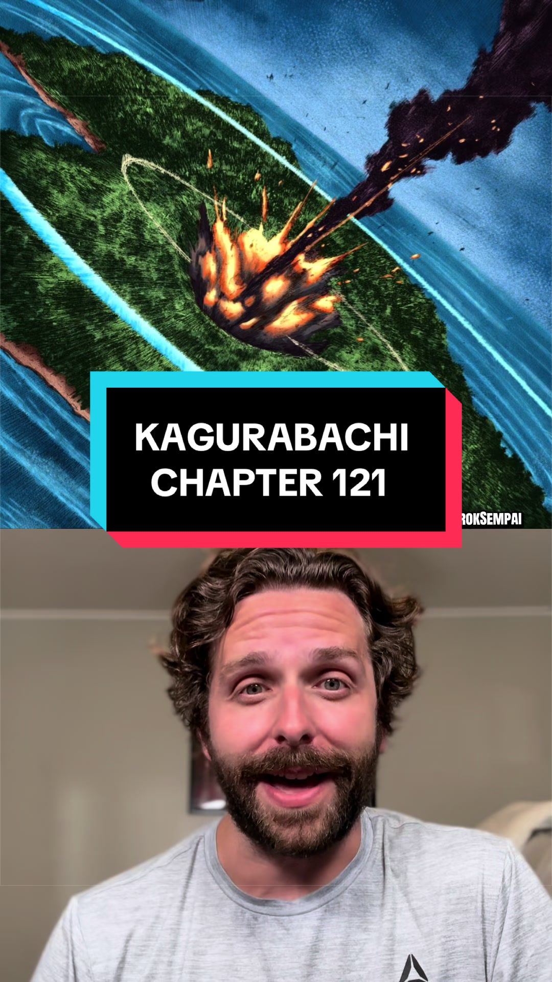 @manganimist