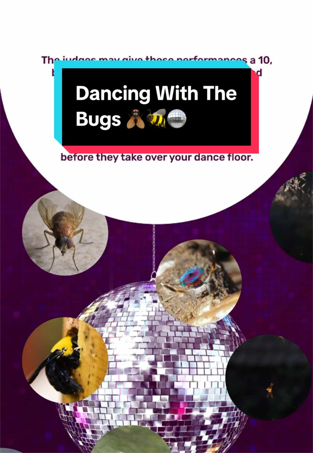 @PestWorld