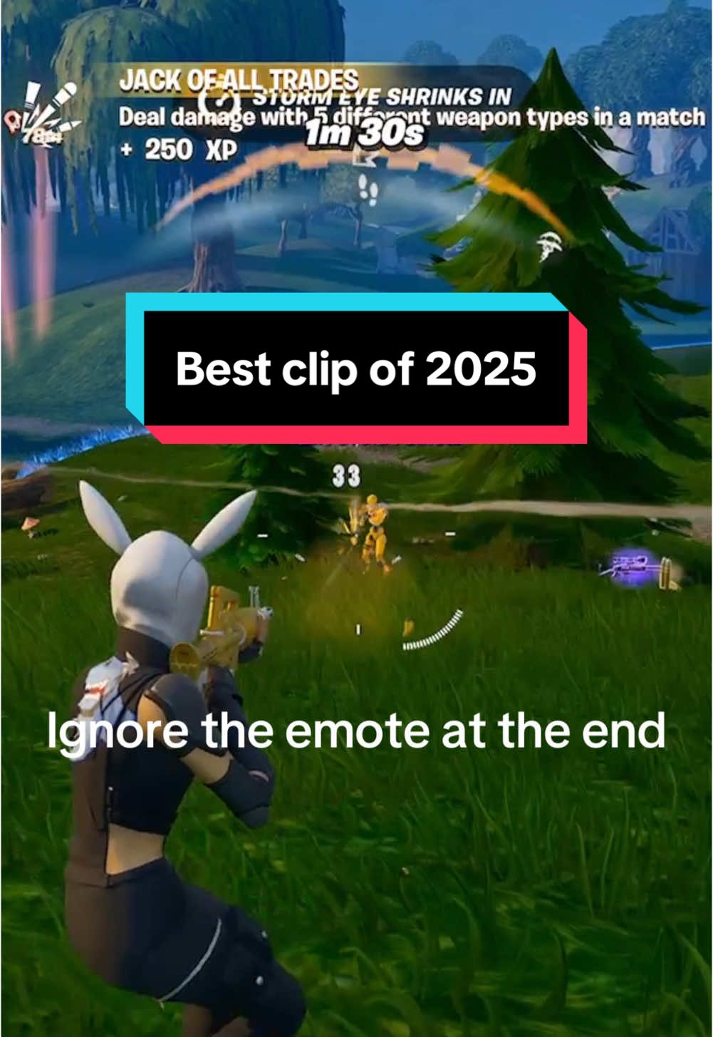 @stizward