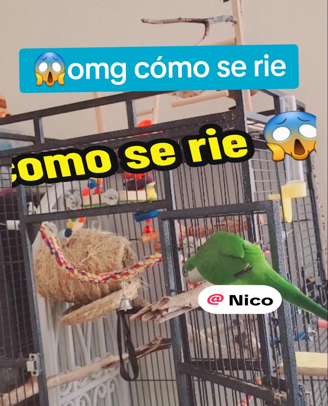 @Nico