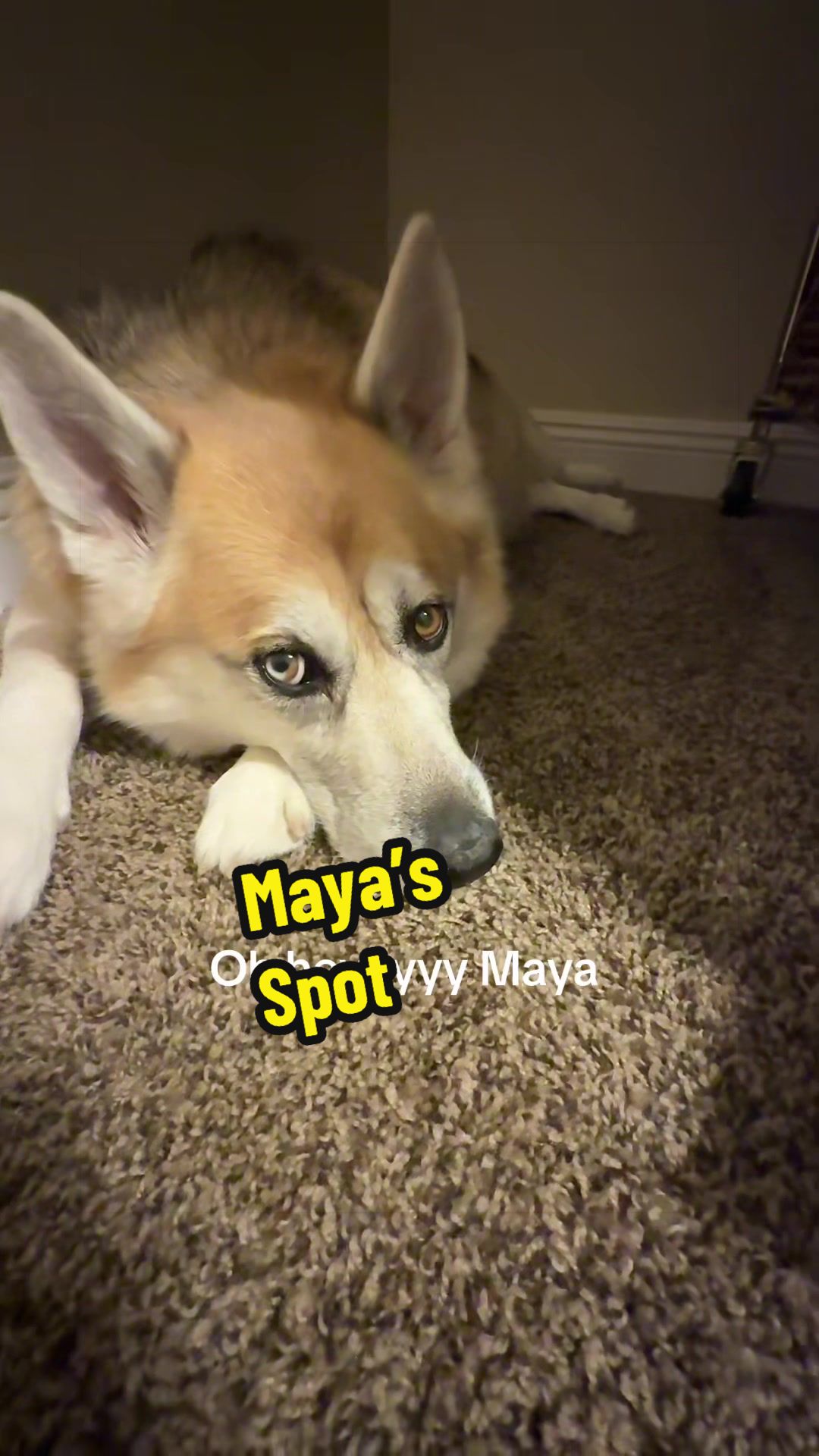 @Savvysolutions
