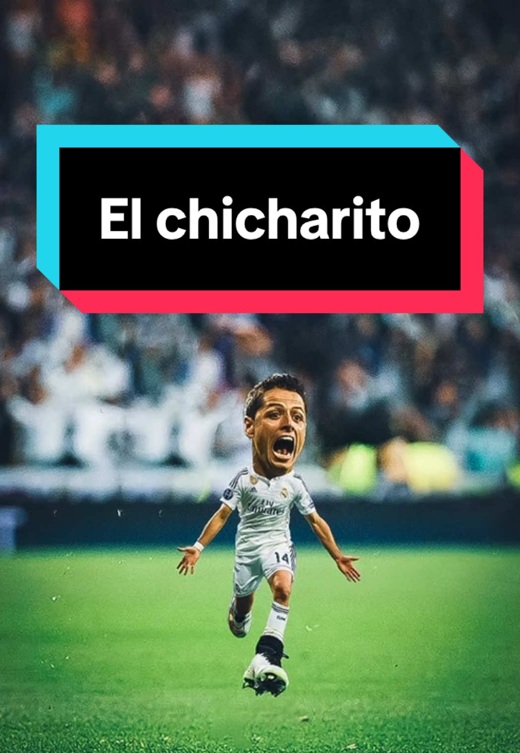 @Minifootballer_