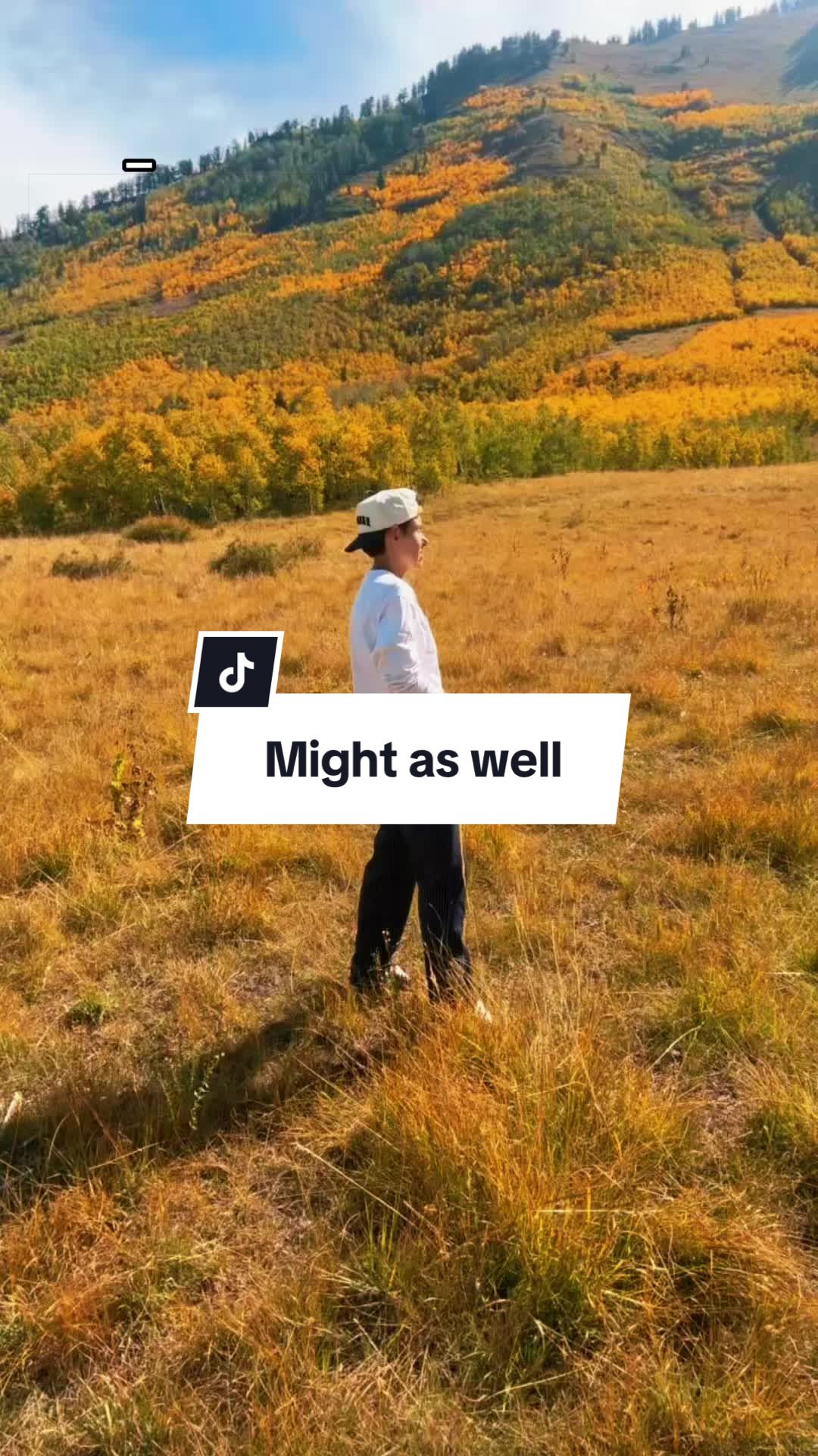 @The Ironwolf Project
