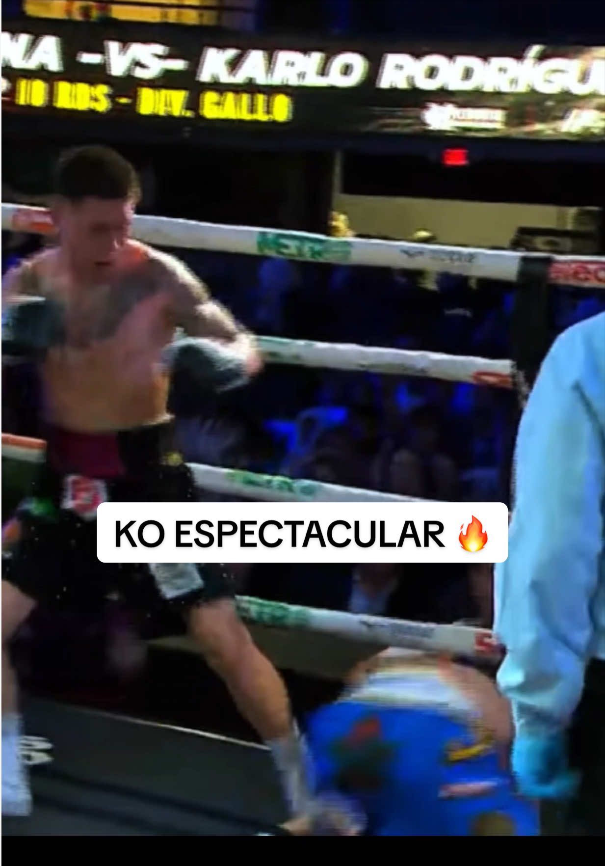 @Auténtico Boxing 🥊