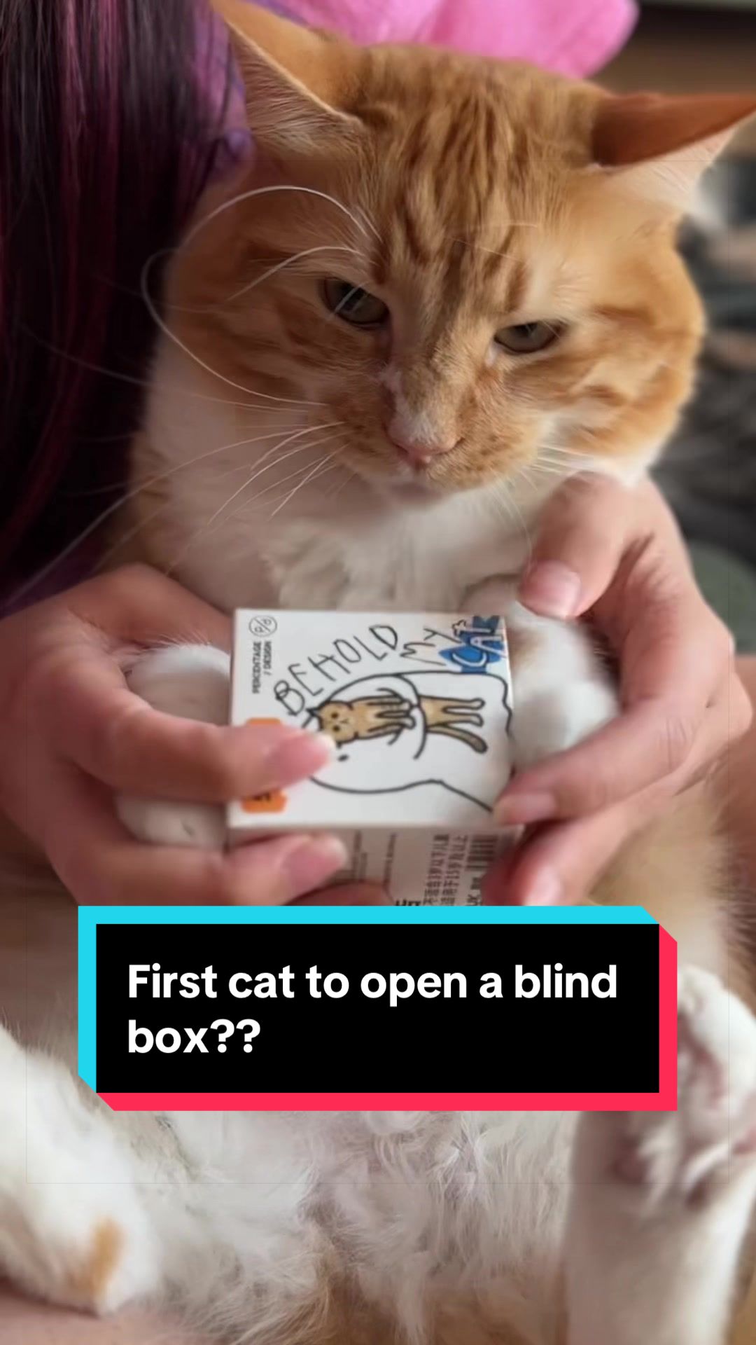 @meloncreamcat