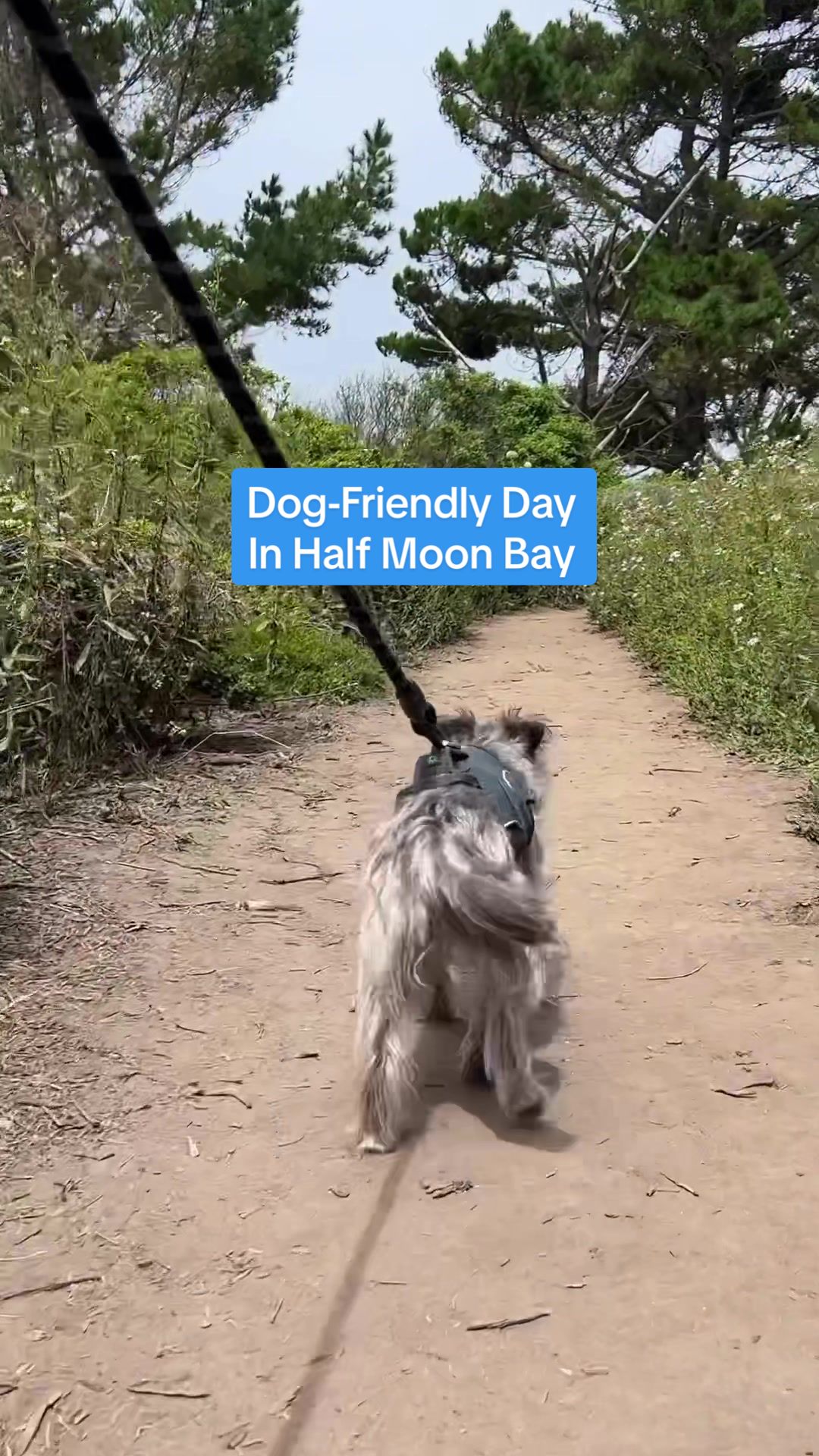 @travelswithtrent