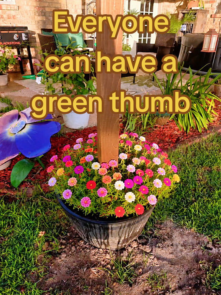 @Alicia