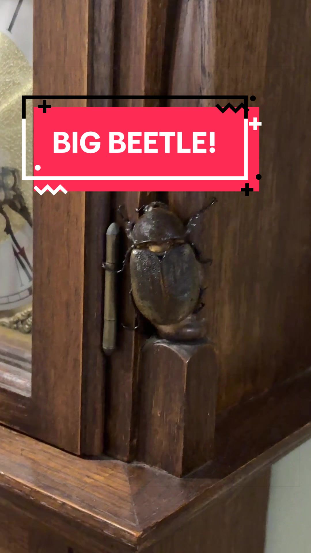 @DoctorBugz