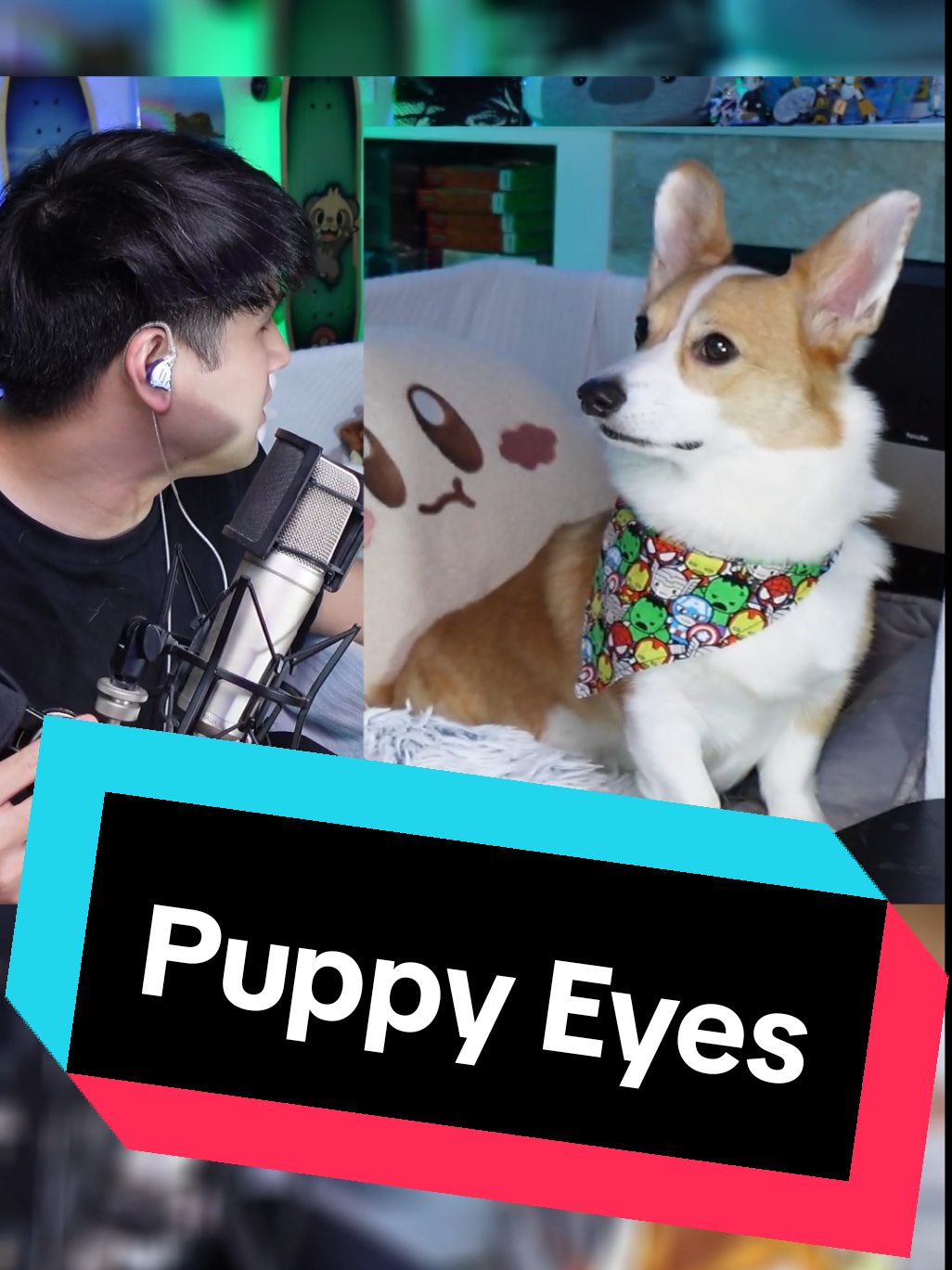 @Protocorg | Twitch Streamer