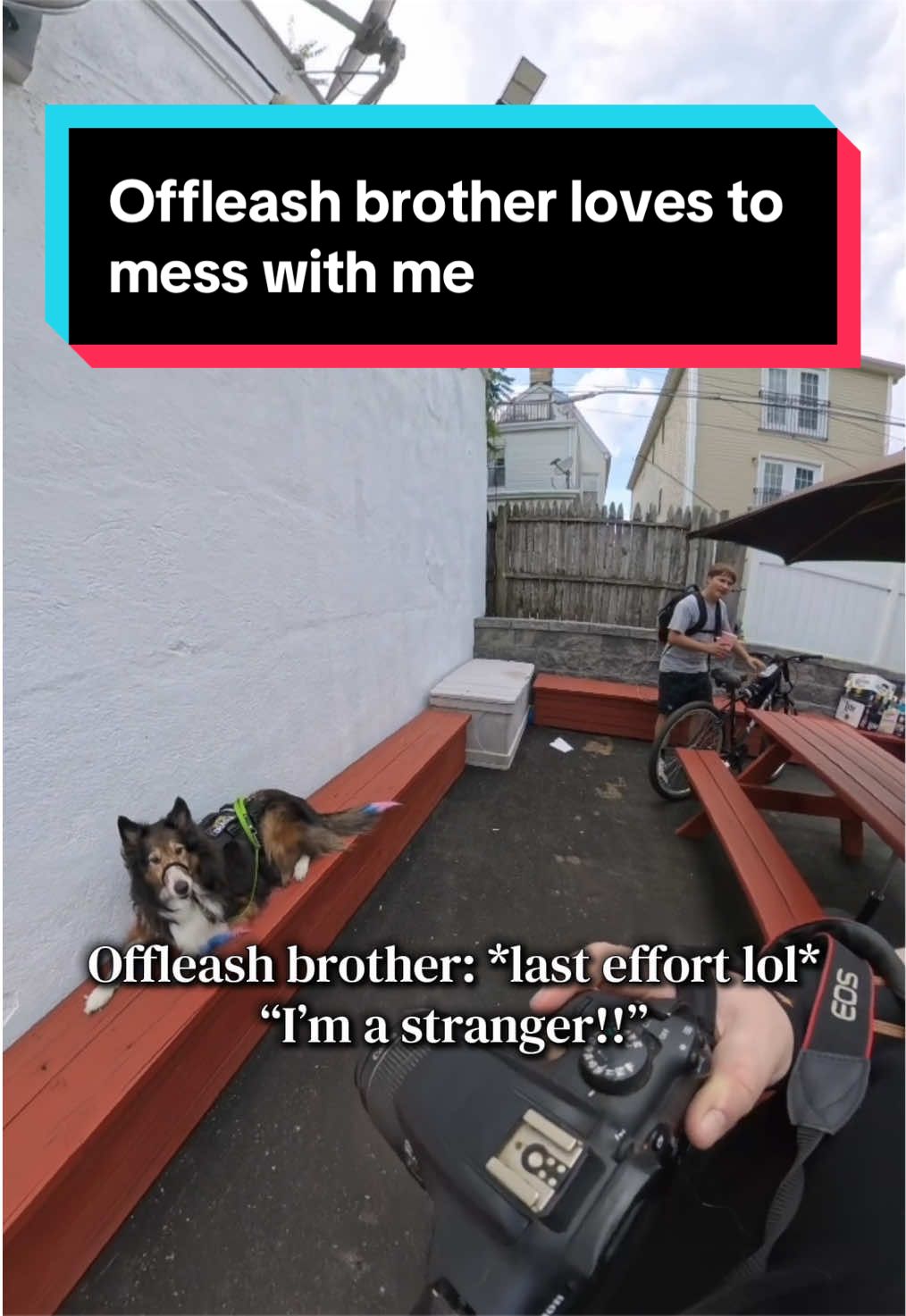 @Dakota & Pups