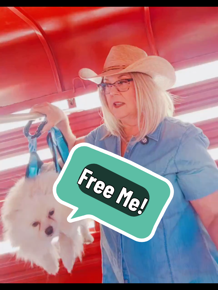 @Pompoochie