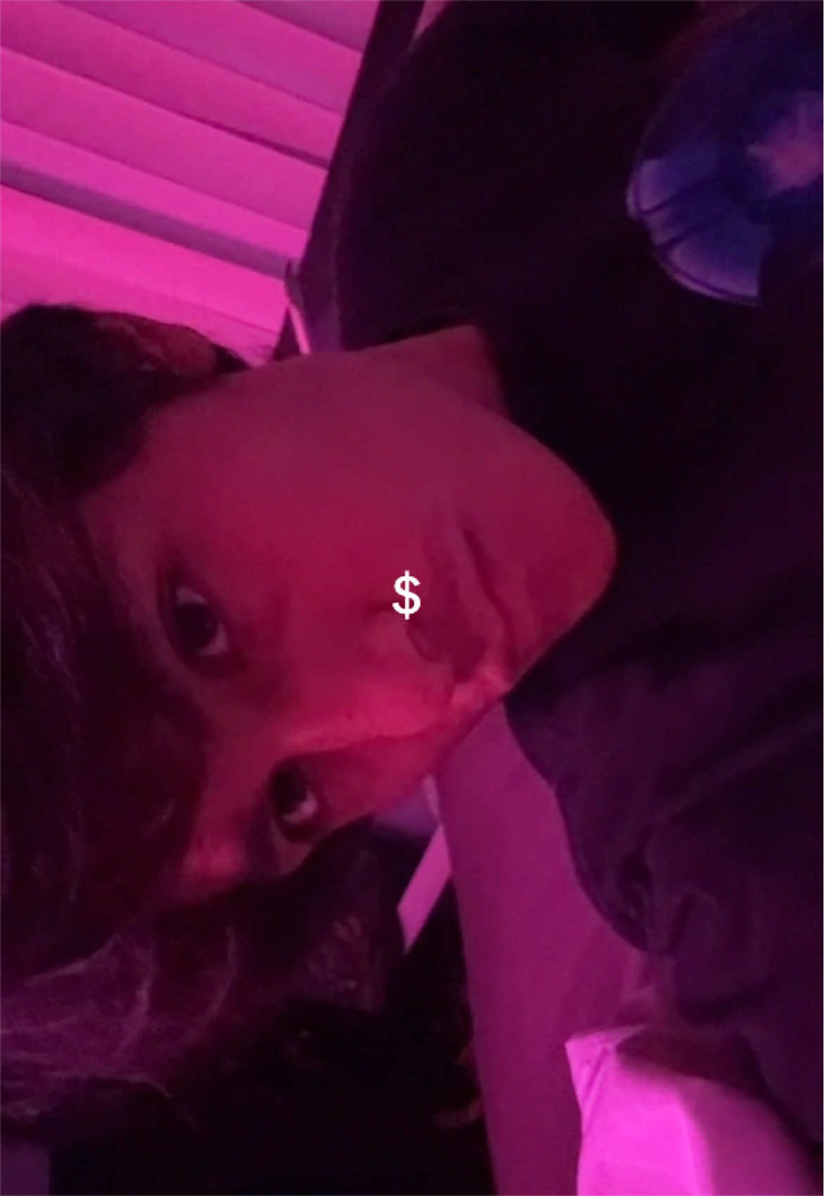 @groovyalex